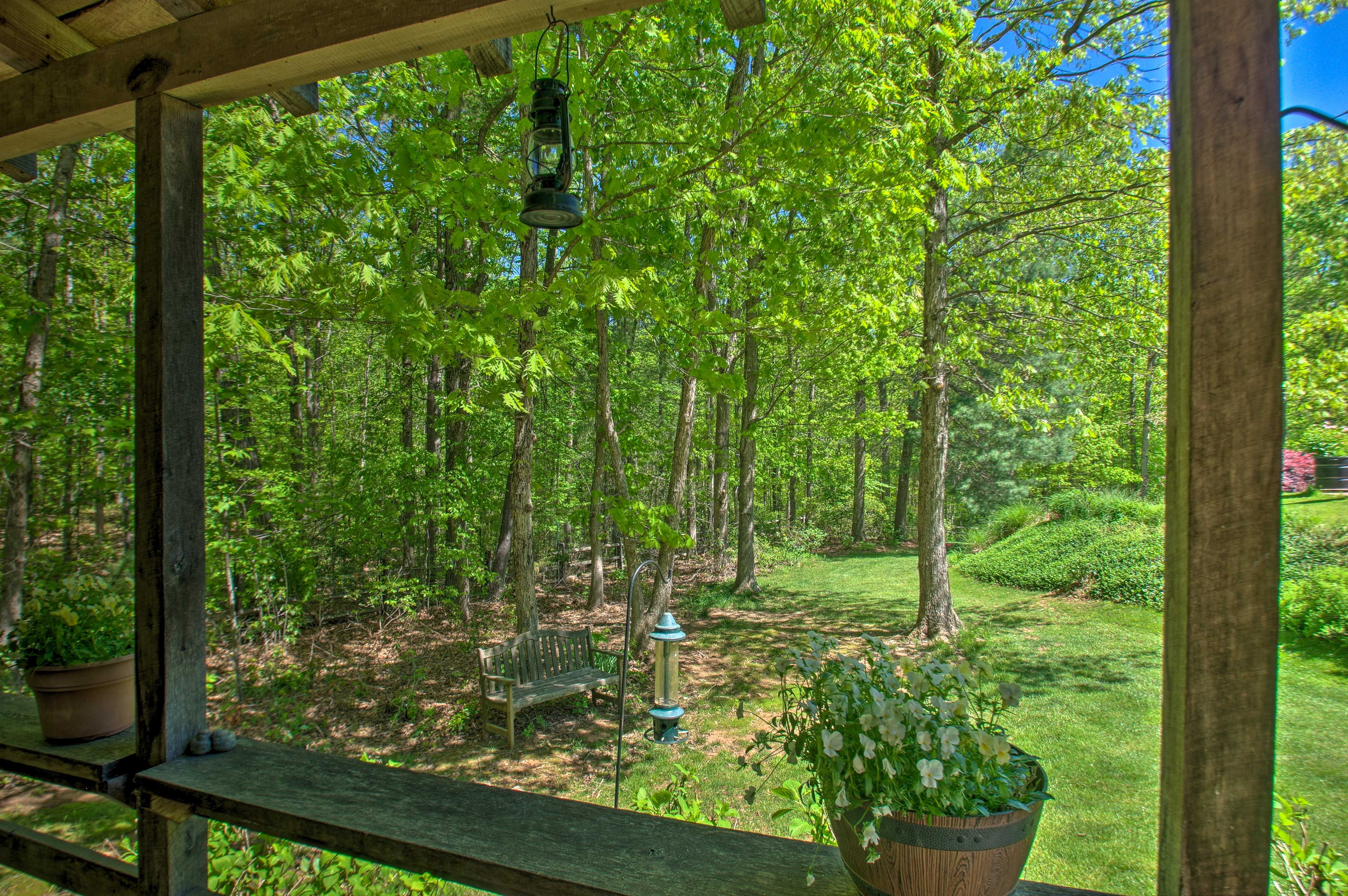 Cabin Exterior