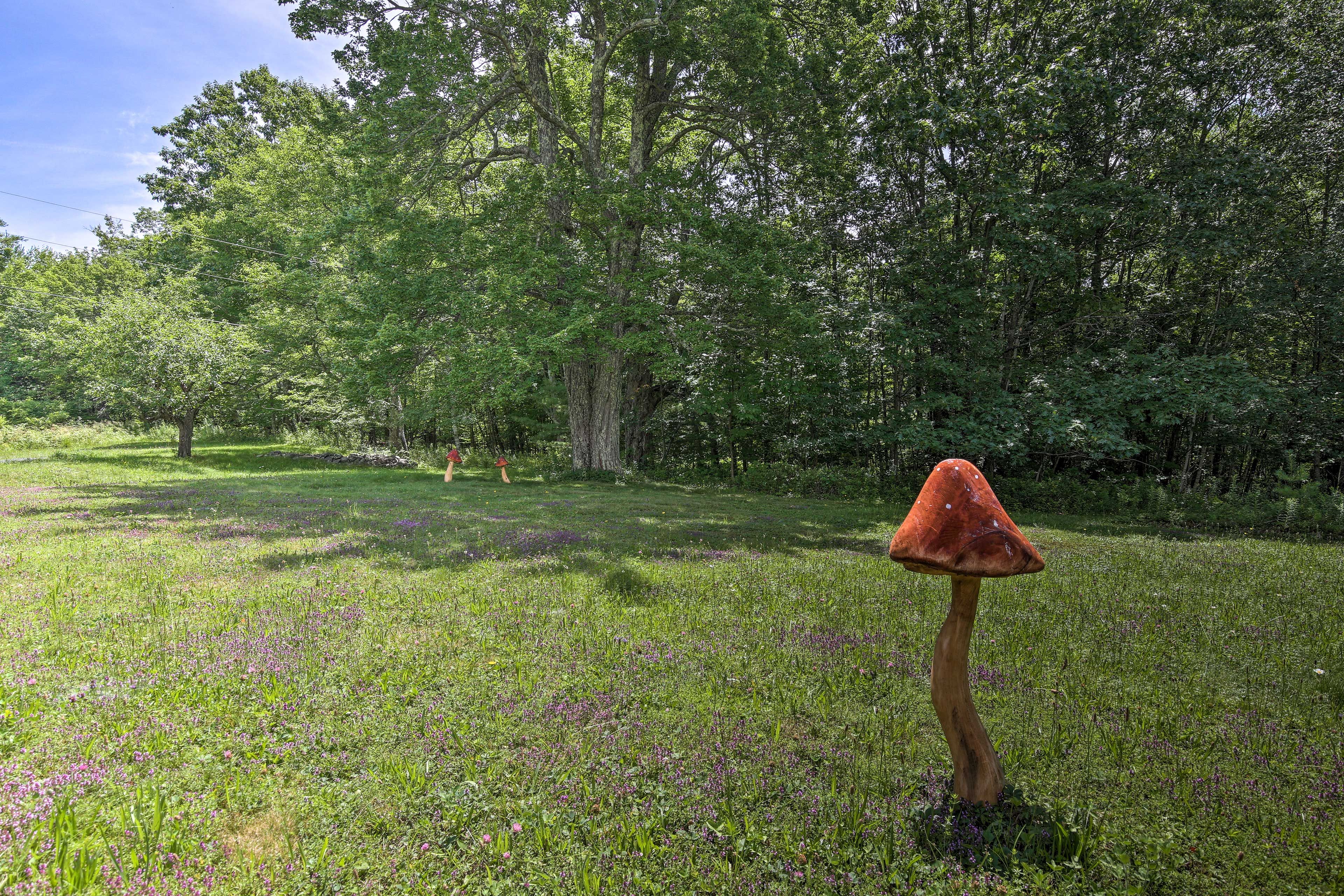 Property Surroundings