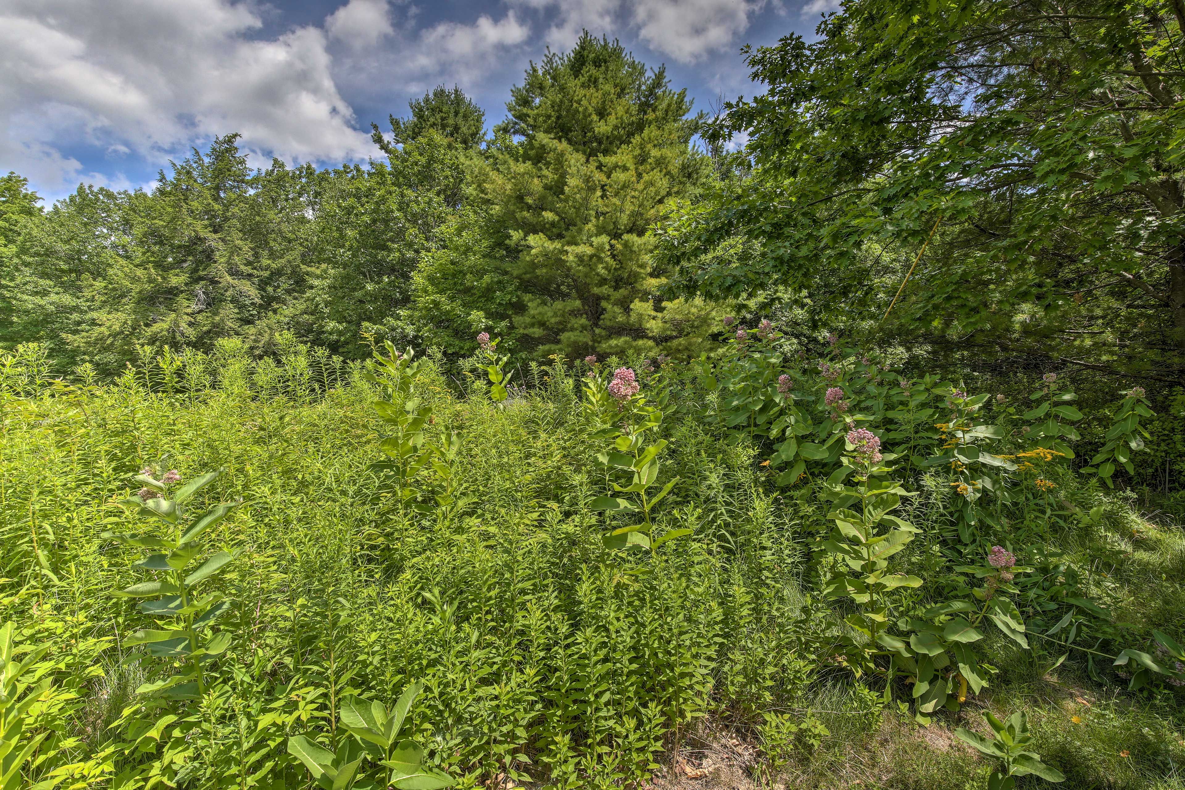 Property Surroundings