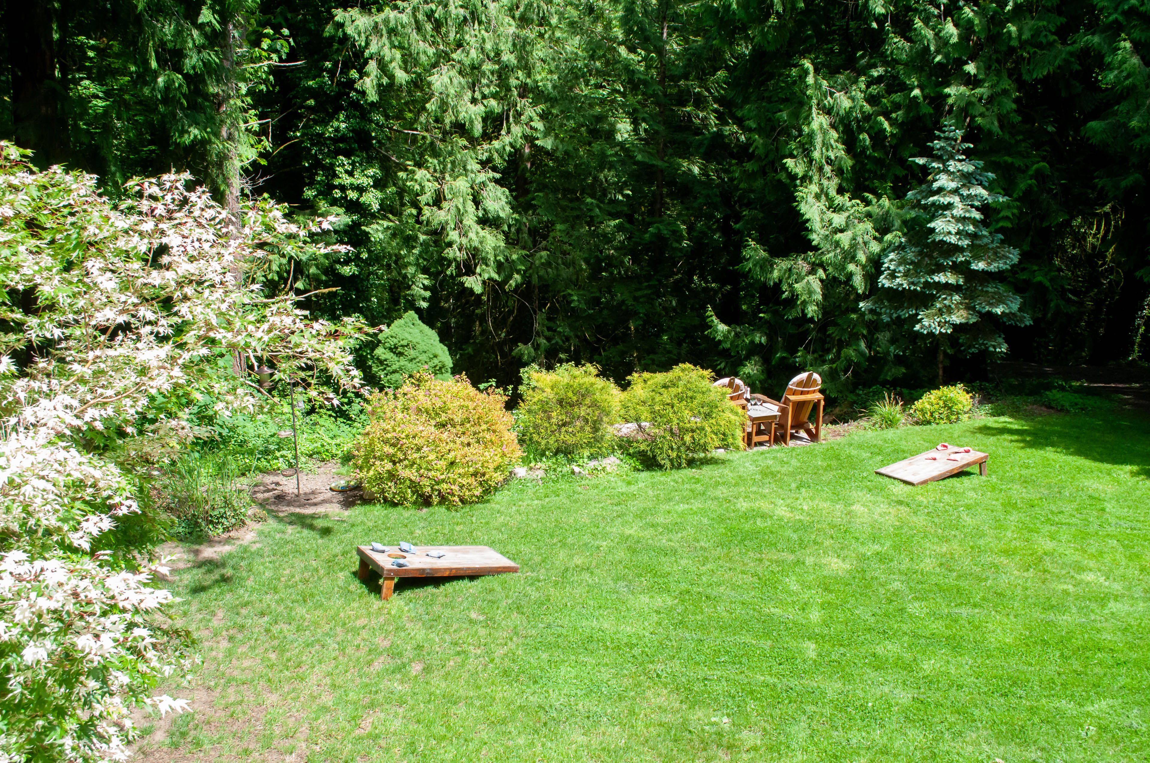 Yard | Cornhole