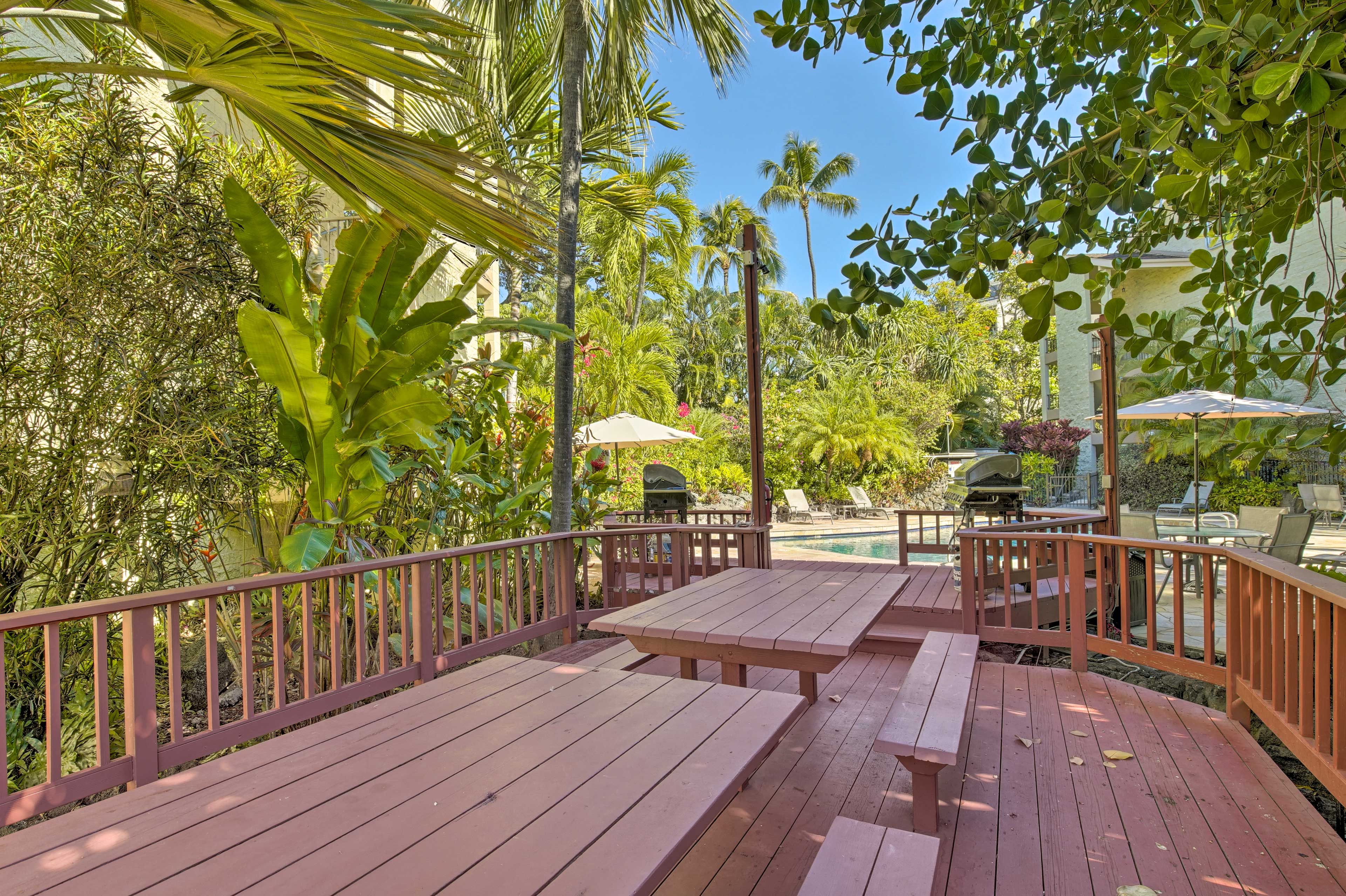 Community Gas Grills & Picnic Area