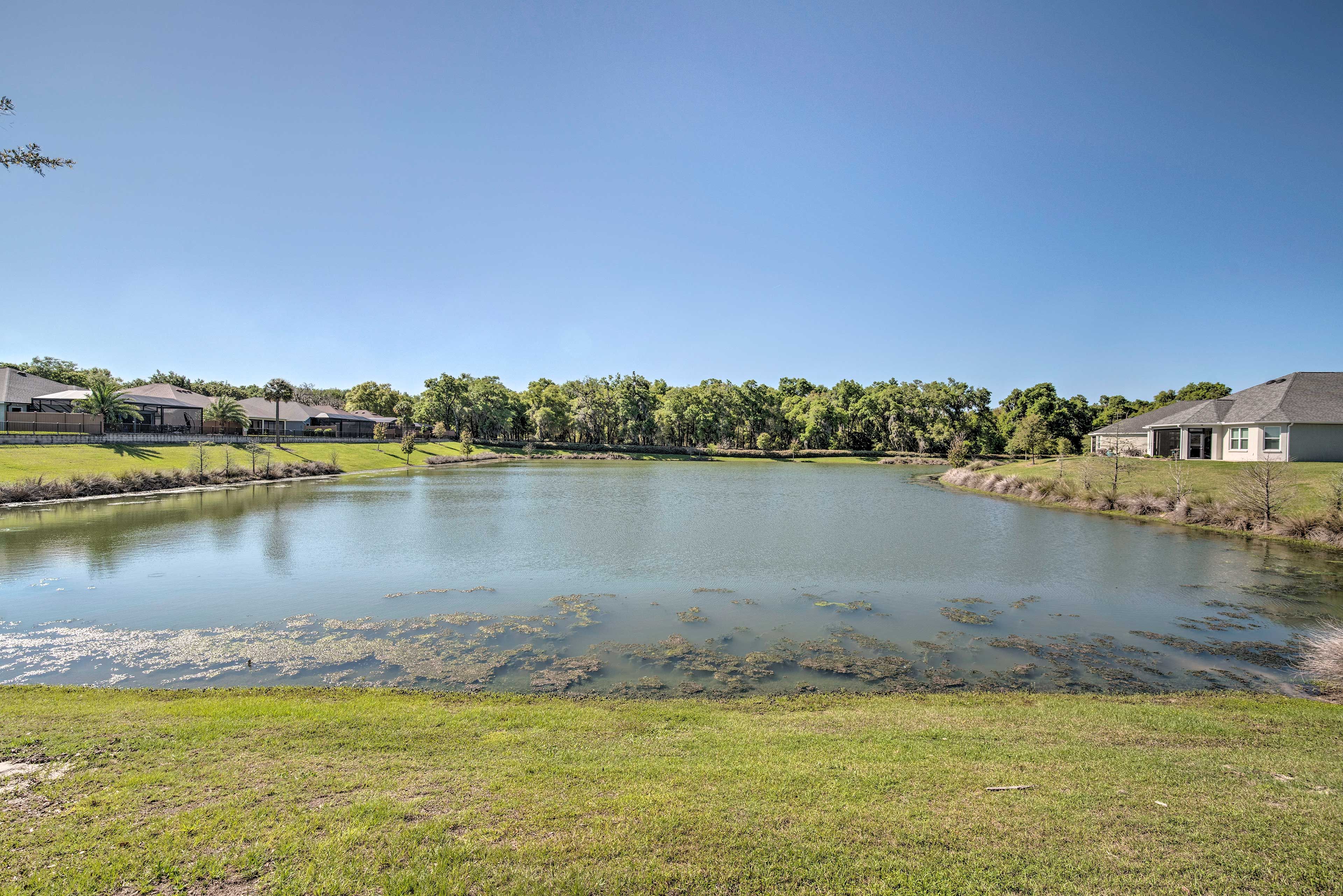 Lake Views From Property