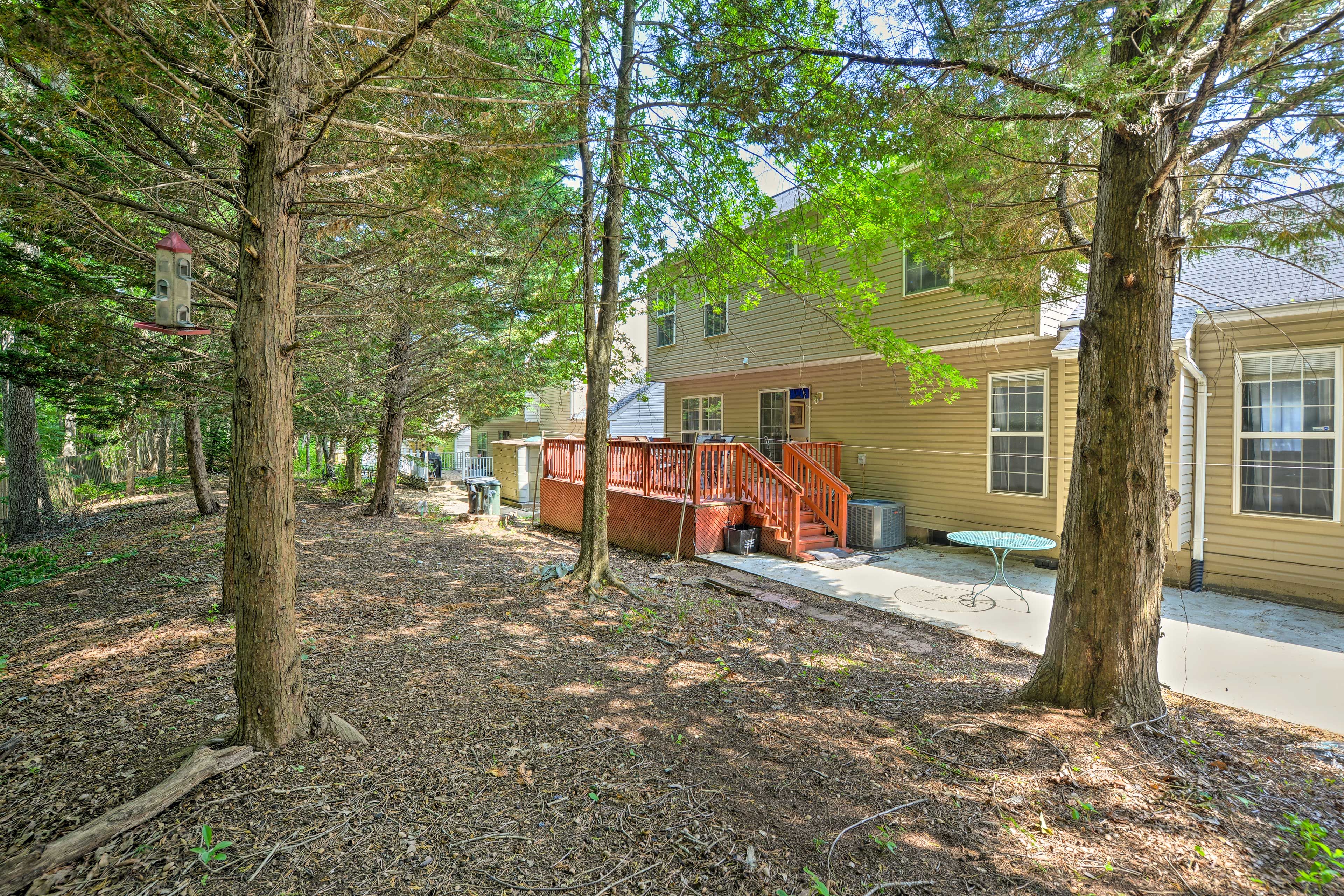 Fully-Fenced Backyard