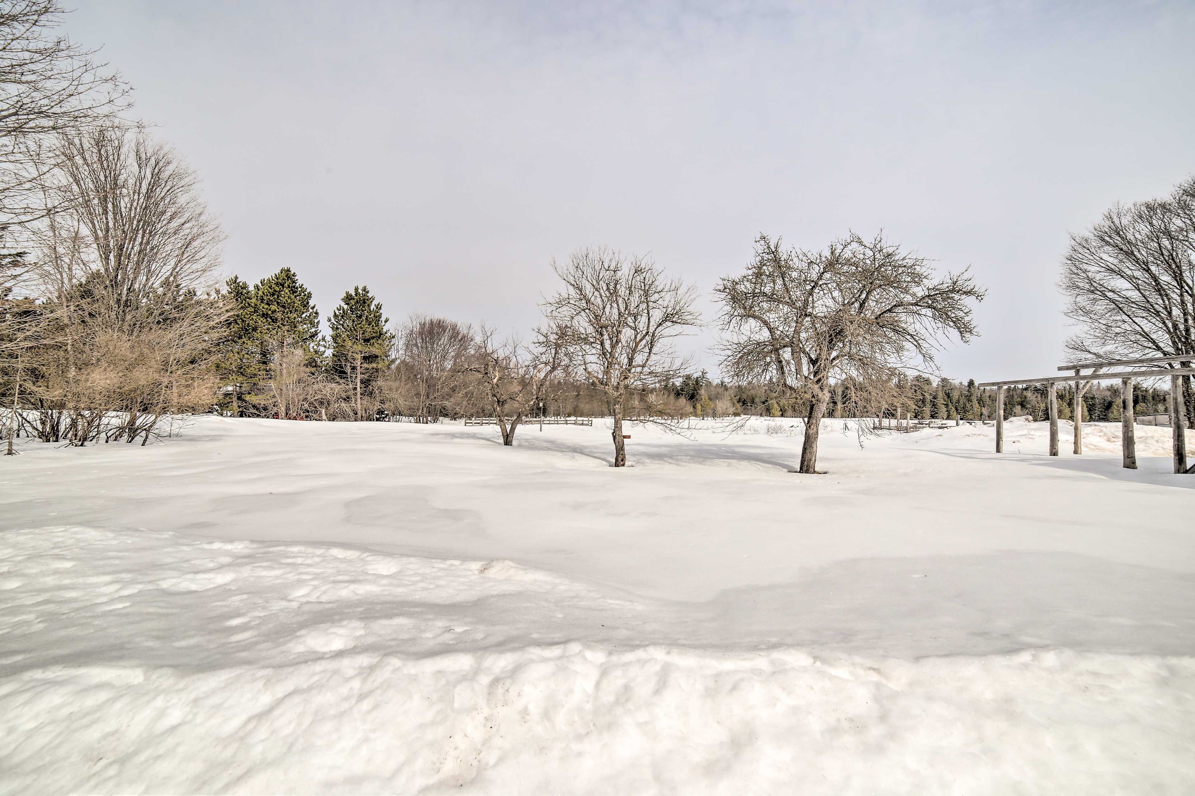 Secluded Surroundings