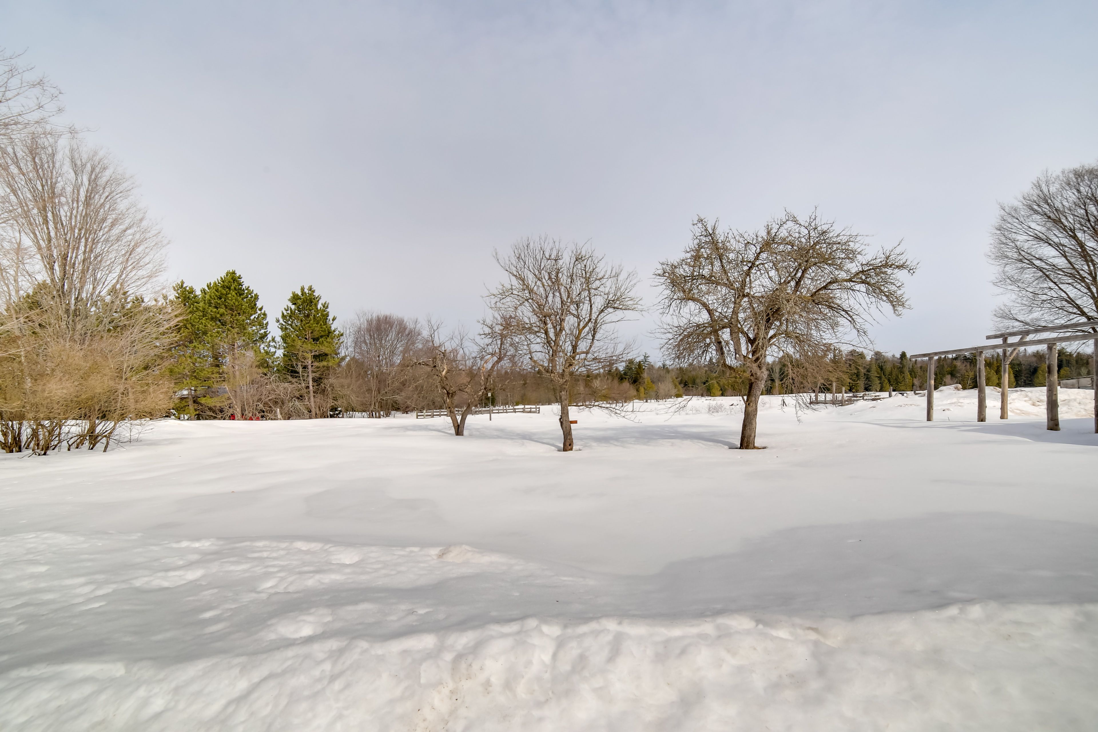 Secluded Surroundings