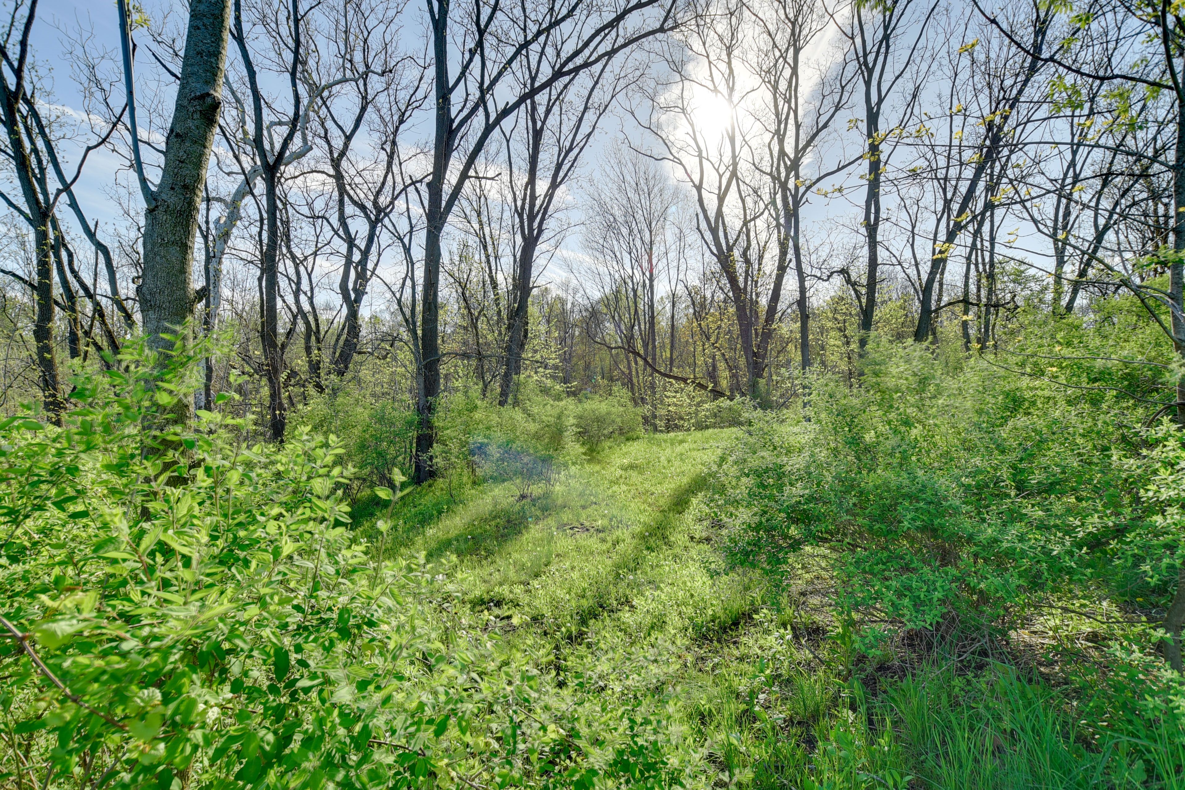 Surrounding Area