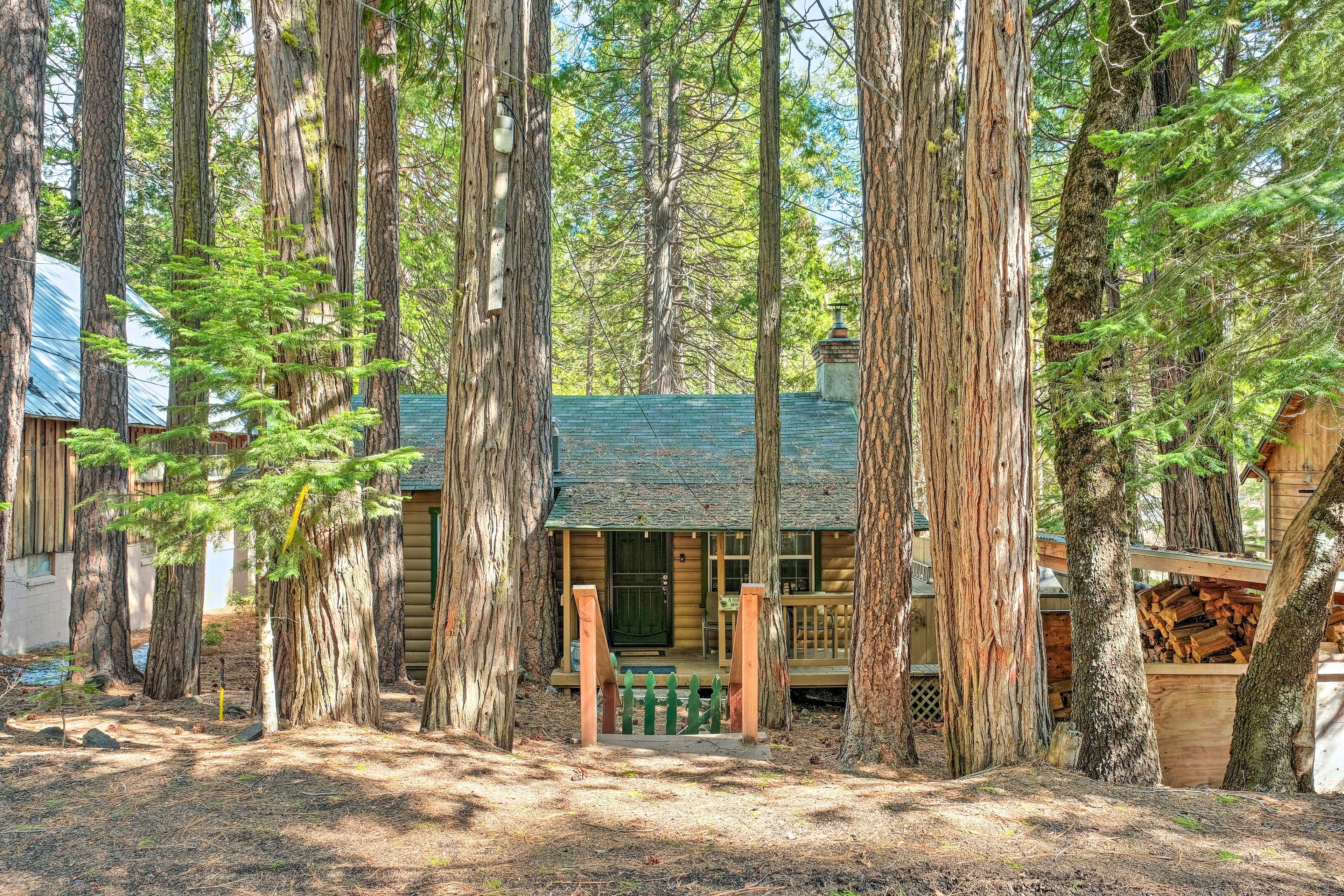 Cabin Exterior
