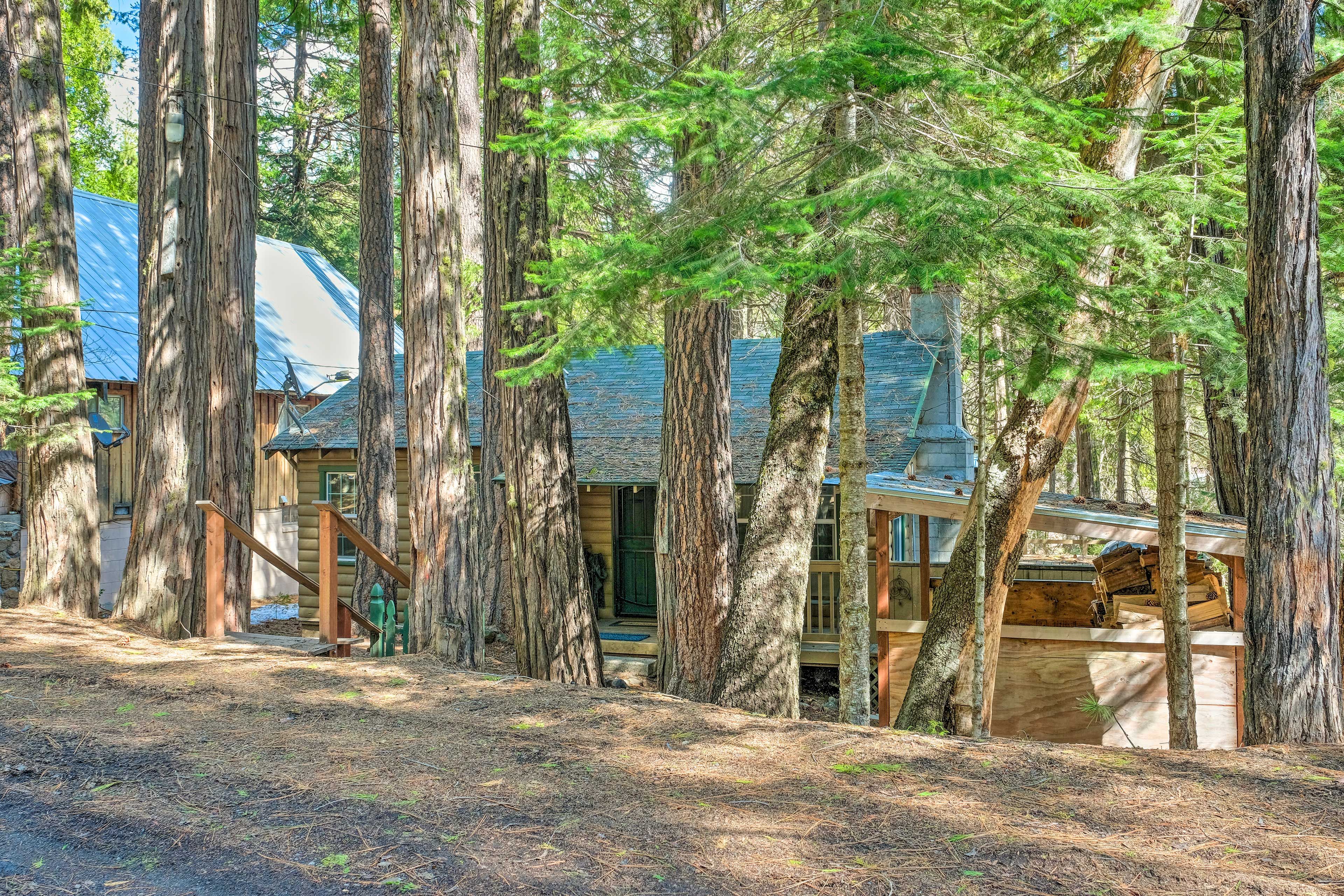 Cabin Exterior