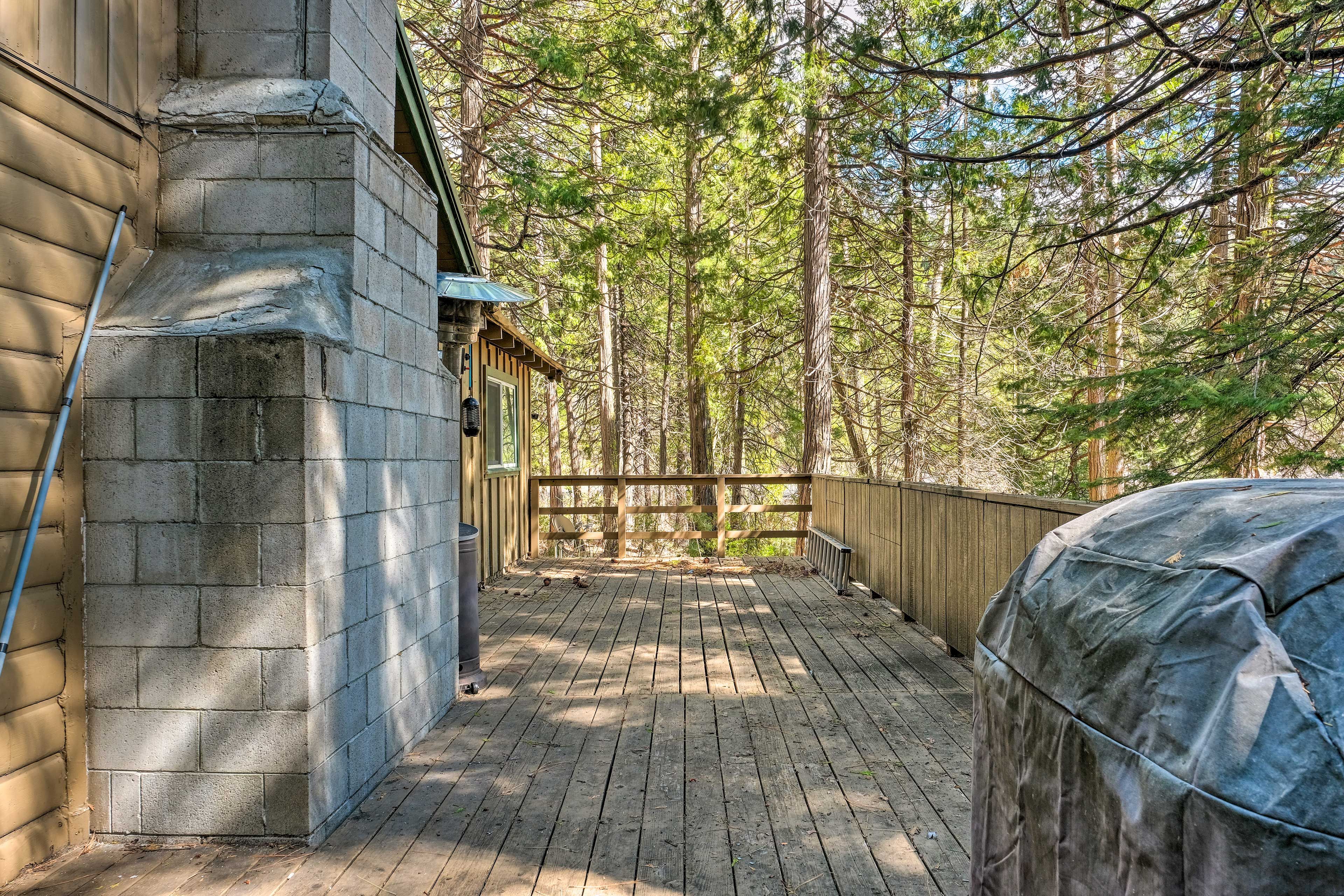 Deck | Gas Grill