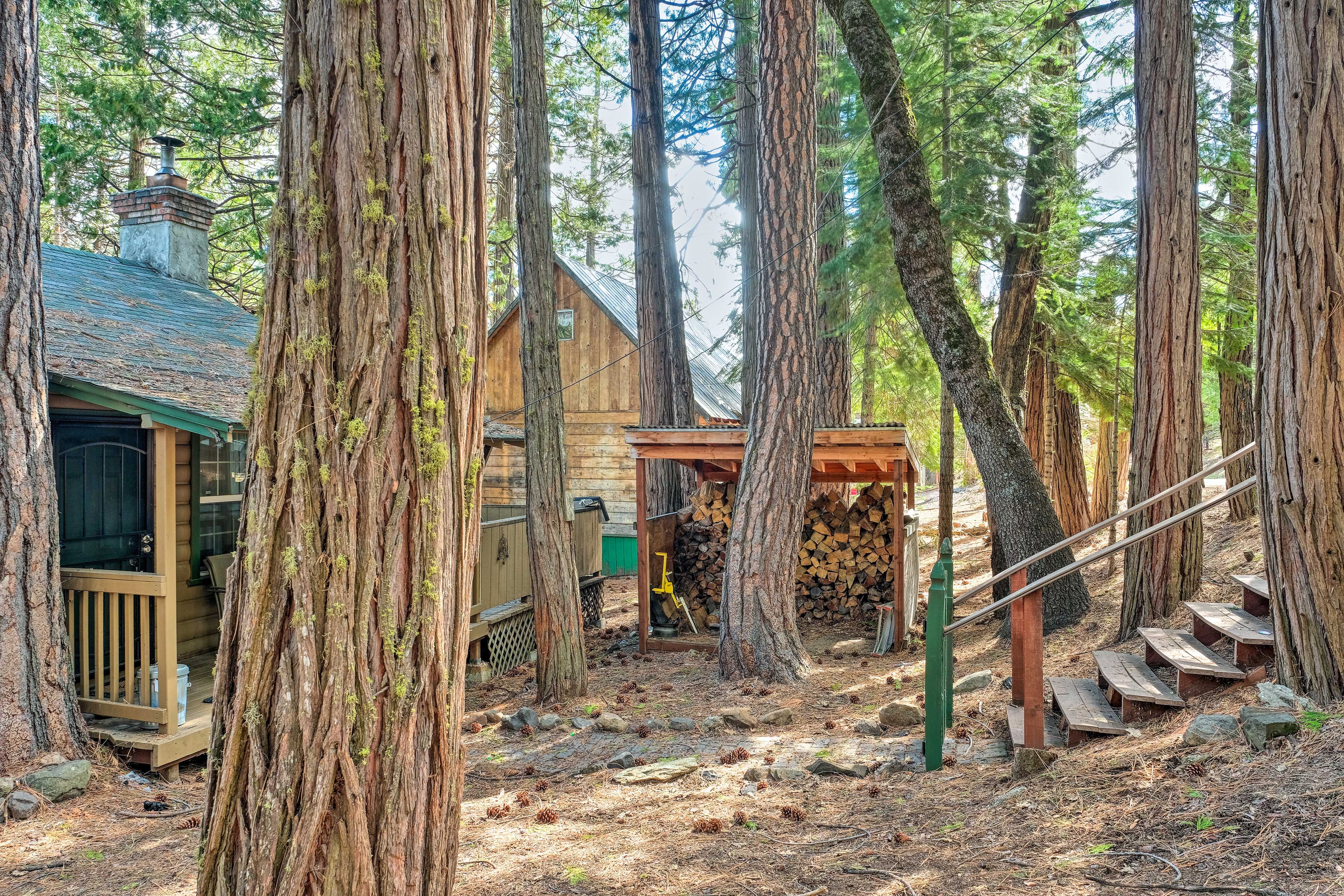 Cabin Exterior