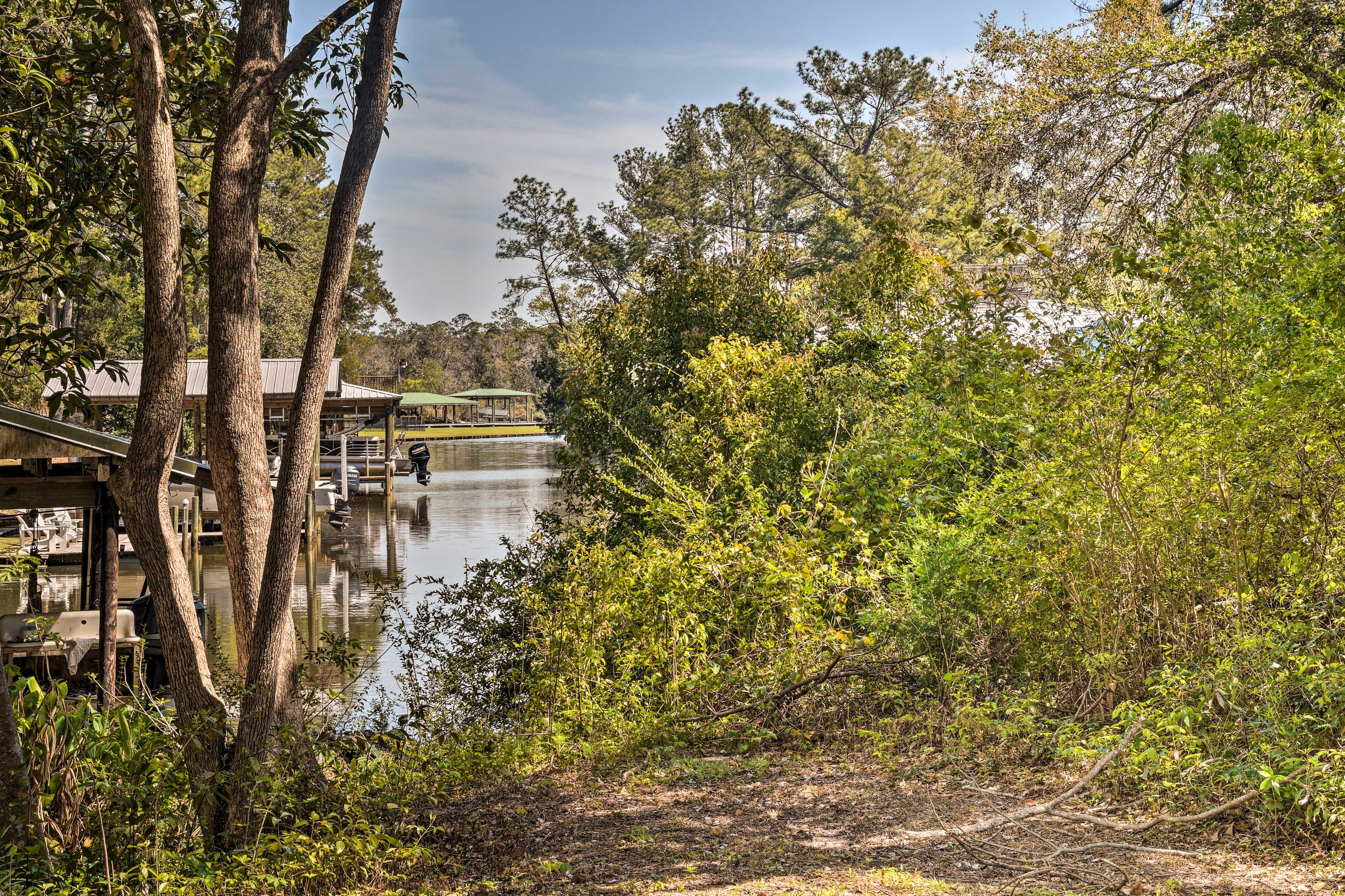 Walk to Magnolia River