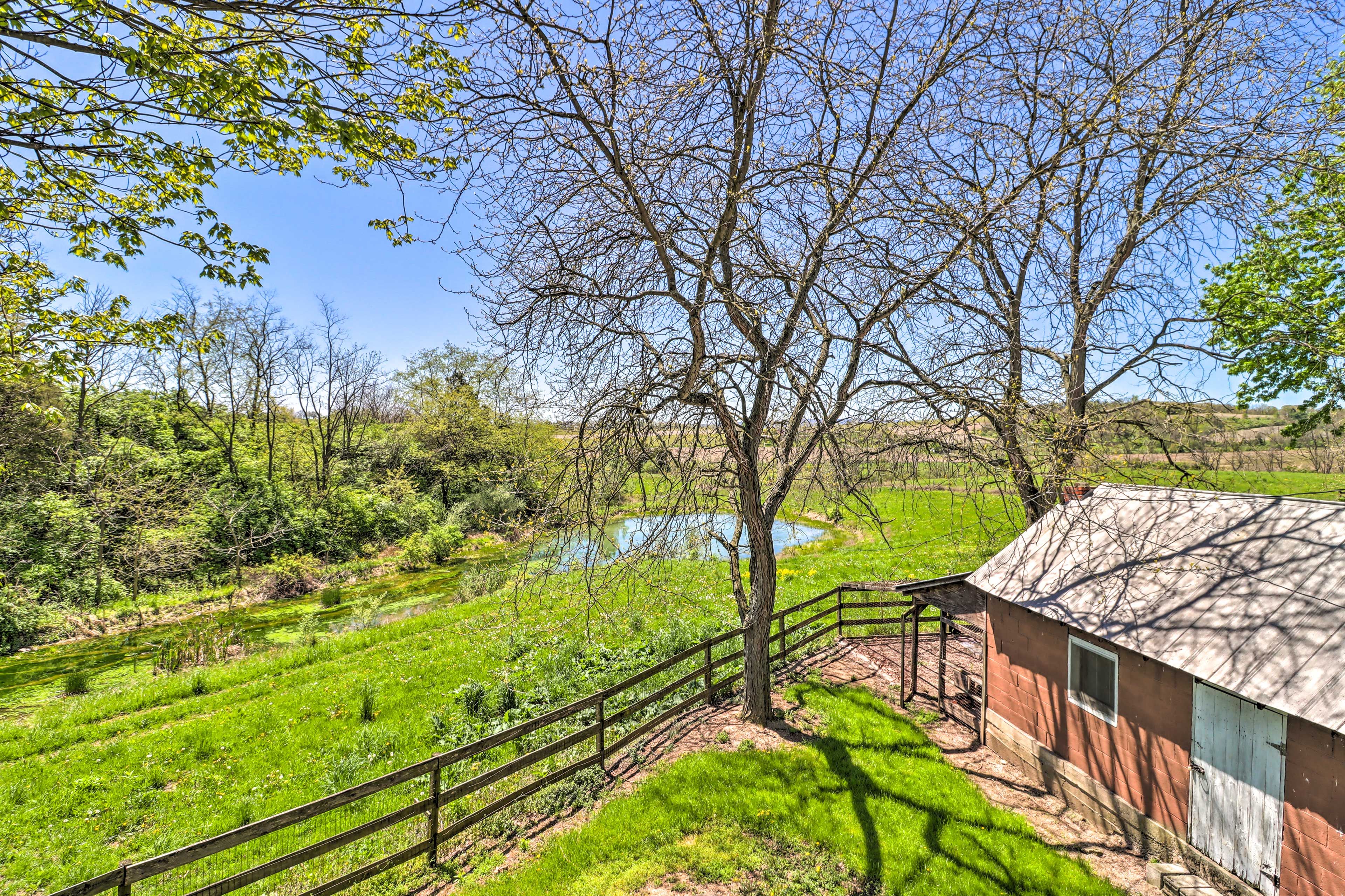 Surrounding Property