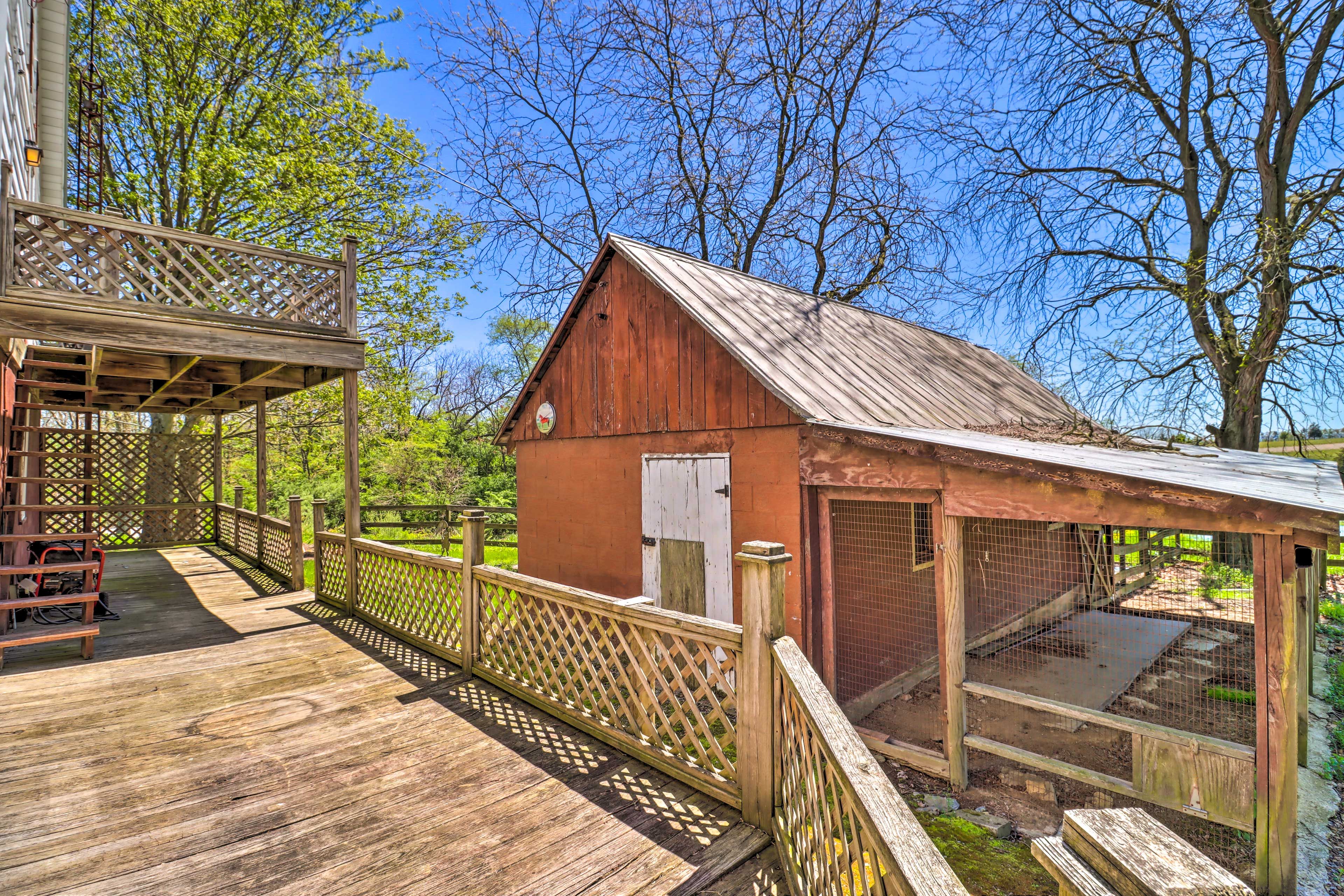 Lower Deck