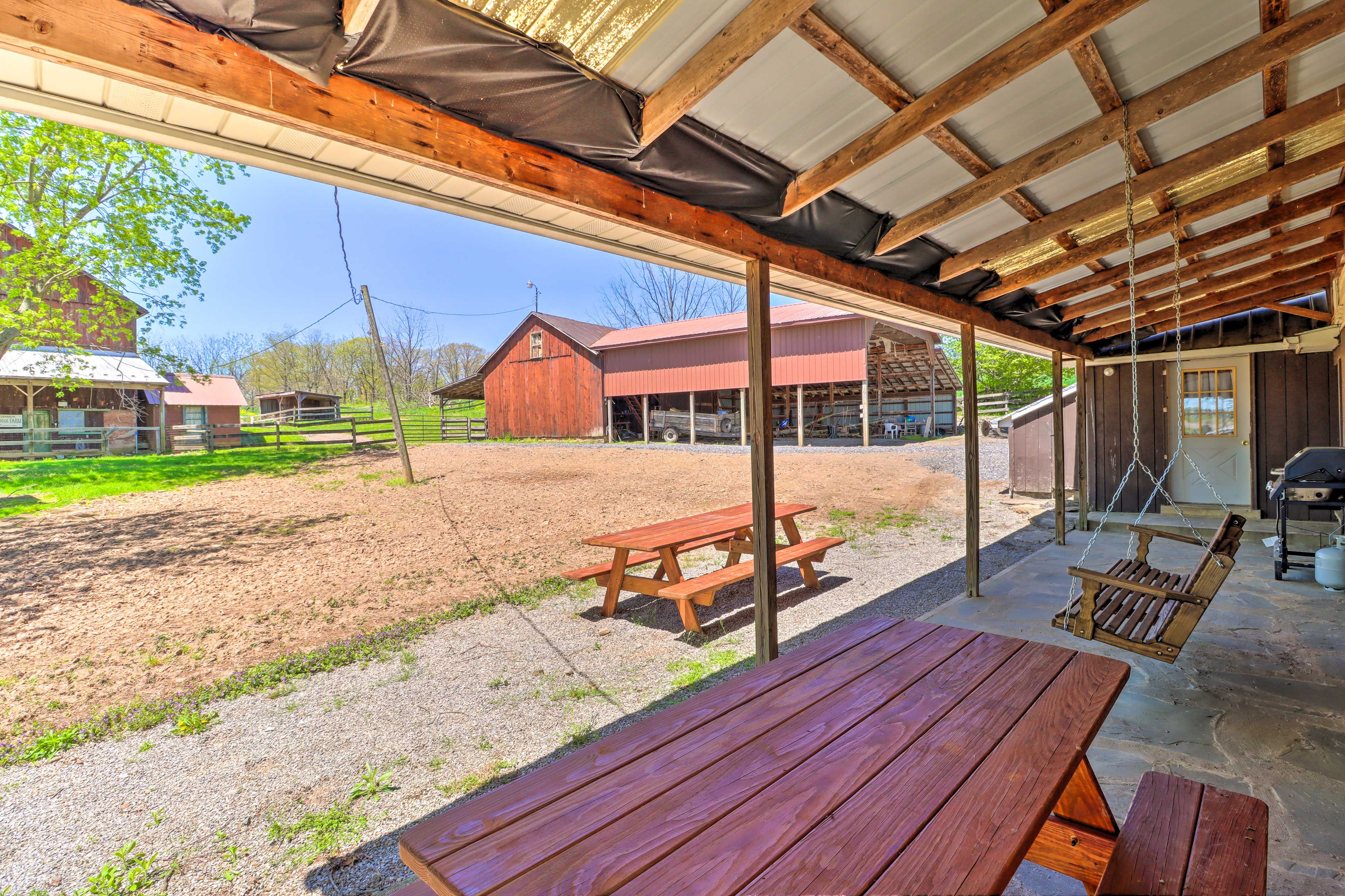 Covered Patio | Porch Swing | Outdoor Dining | Gas Grill