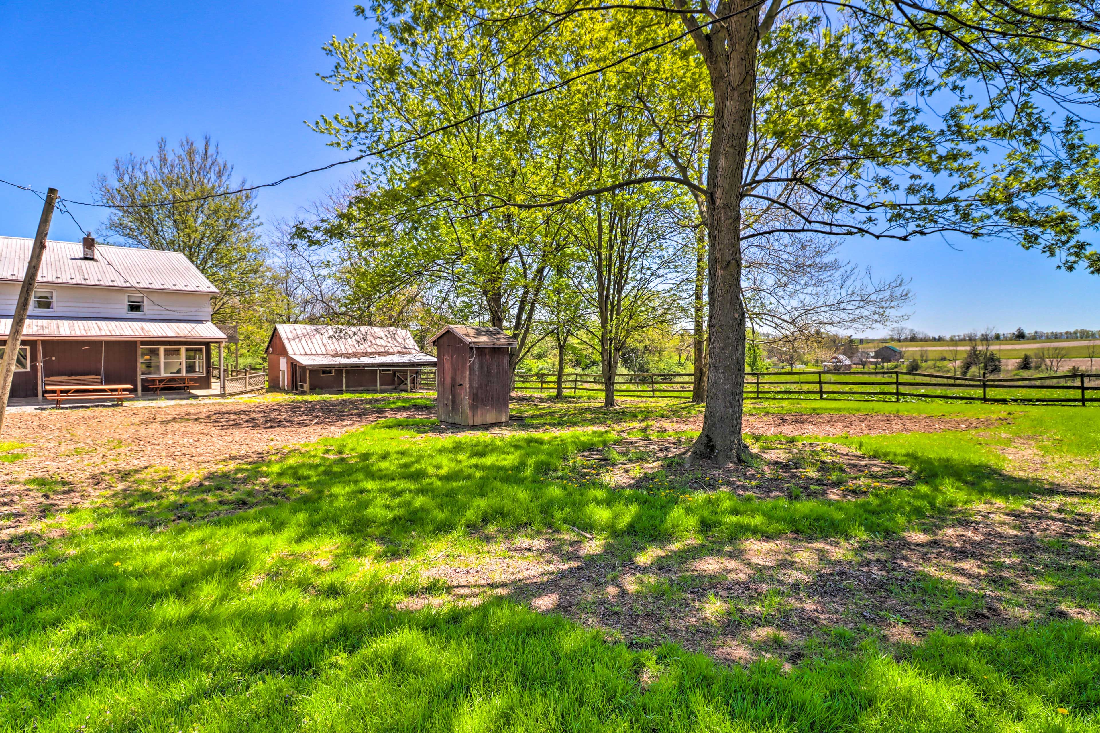 Private Yard