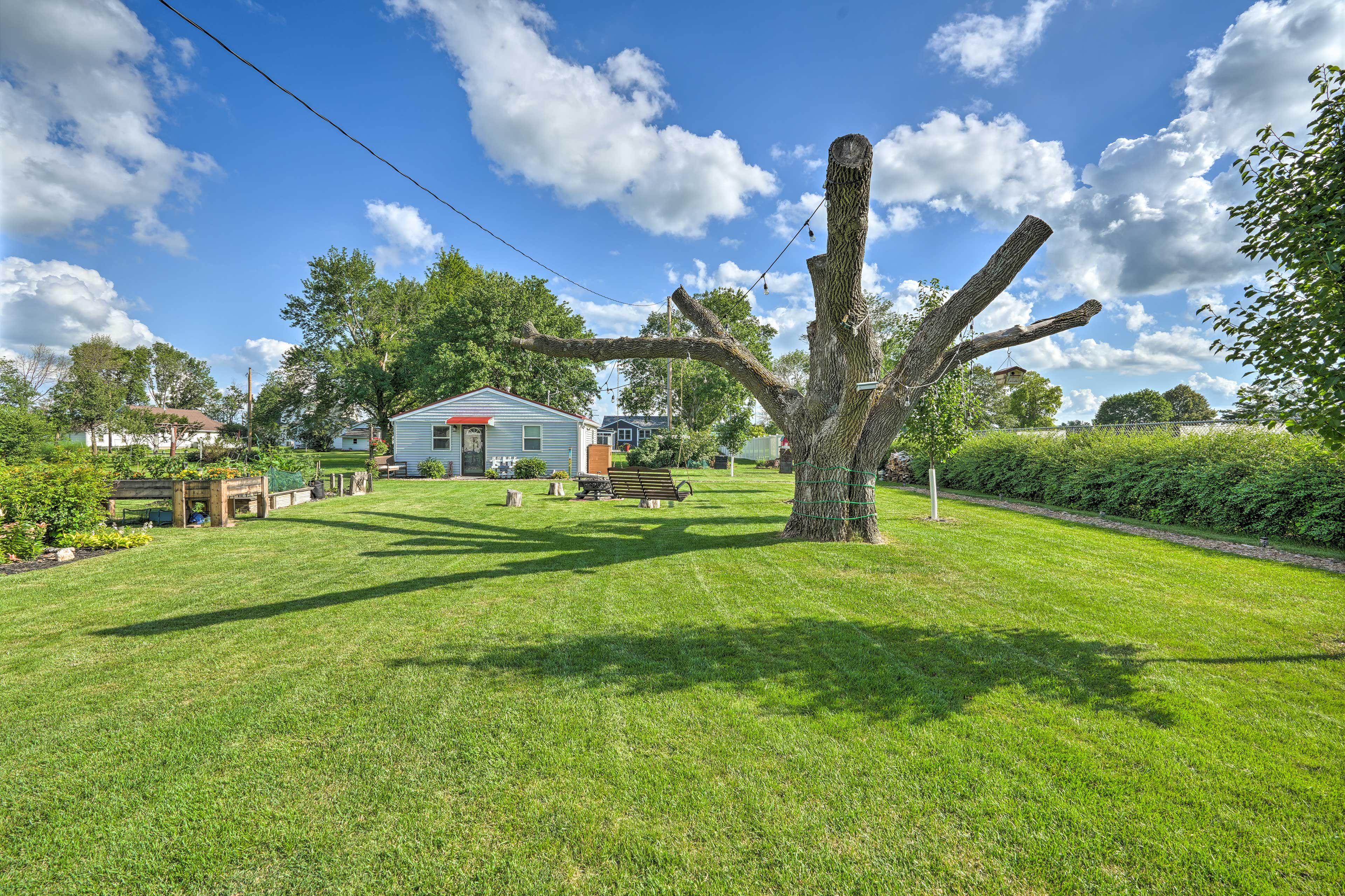 Yard