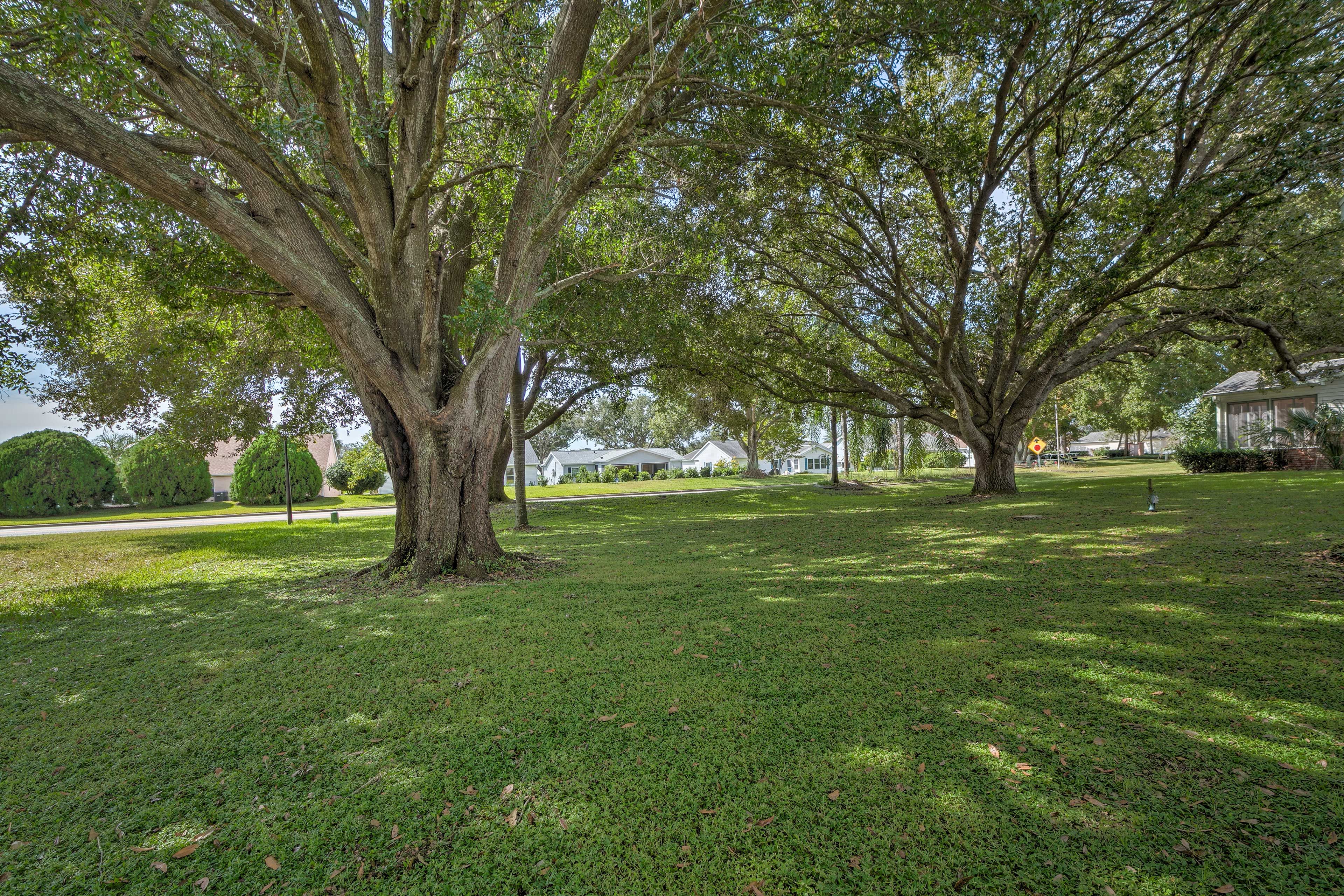 Yard