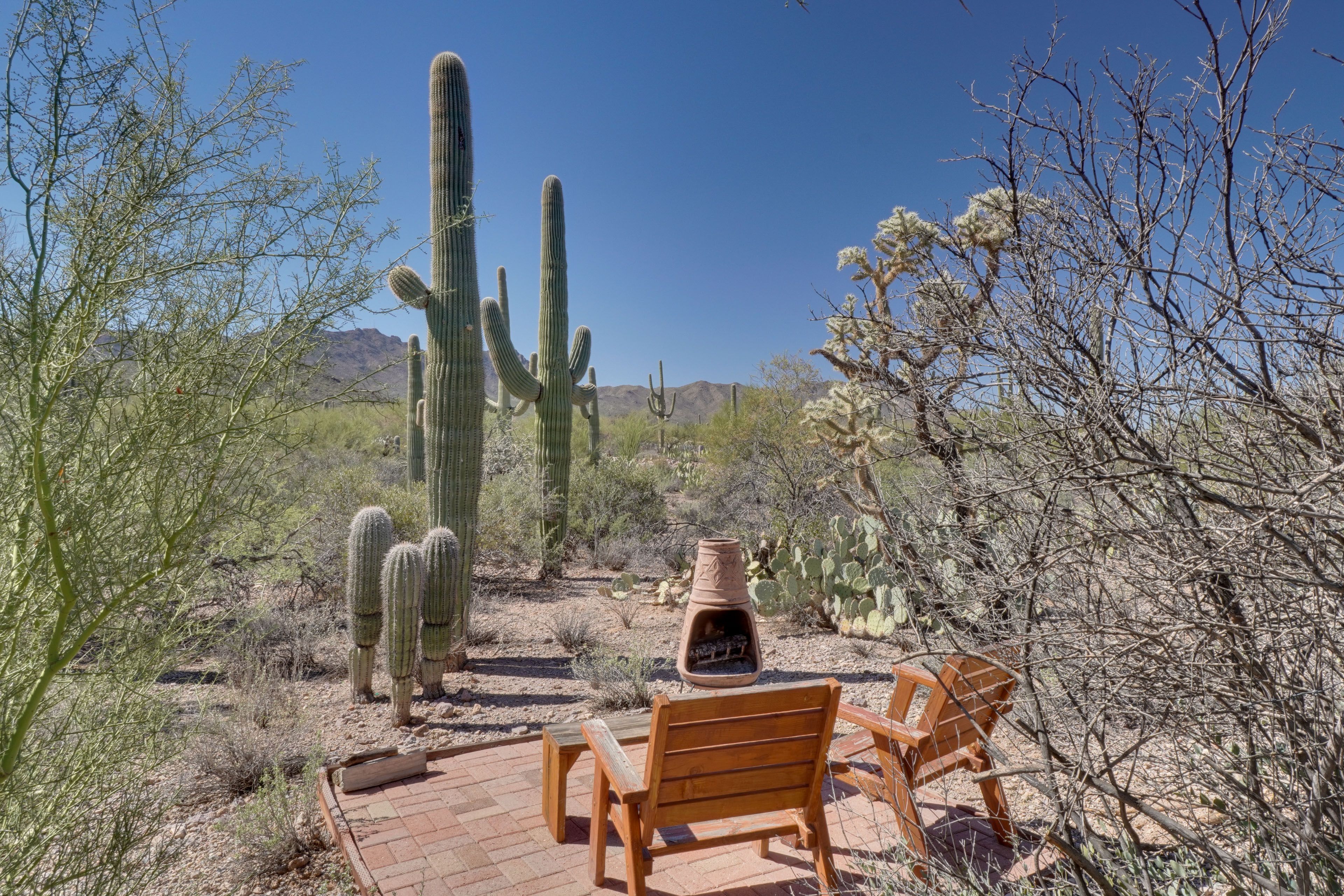 Tucson Vacation Rental | Studio | 1BA | 600 Sq Ft | Step to Enter
