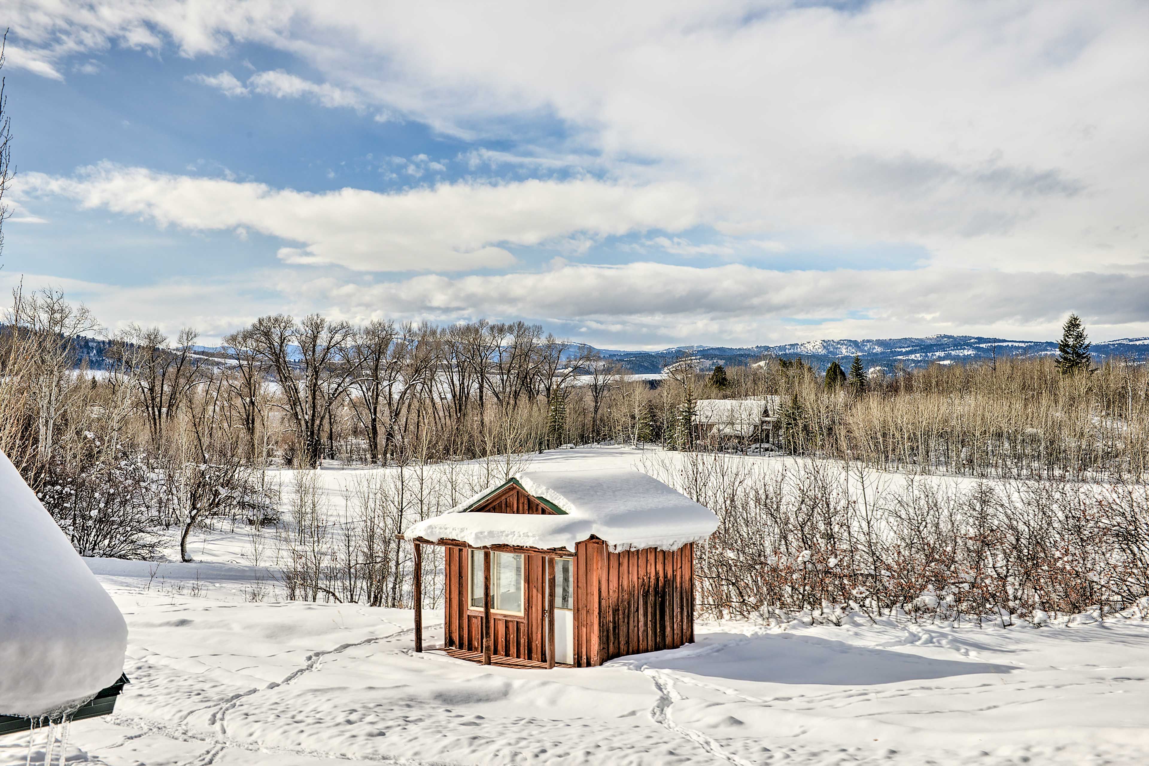 Shed