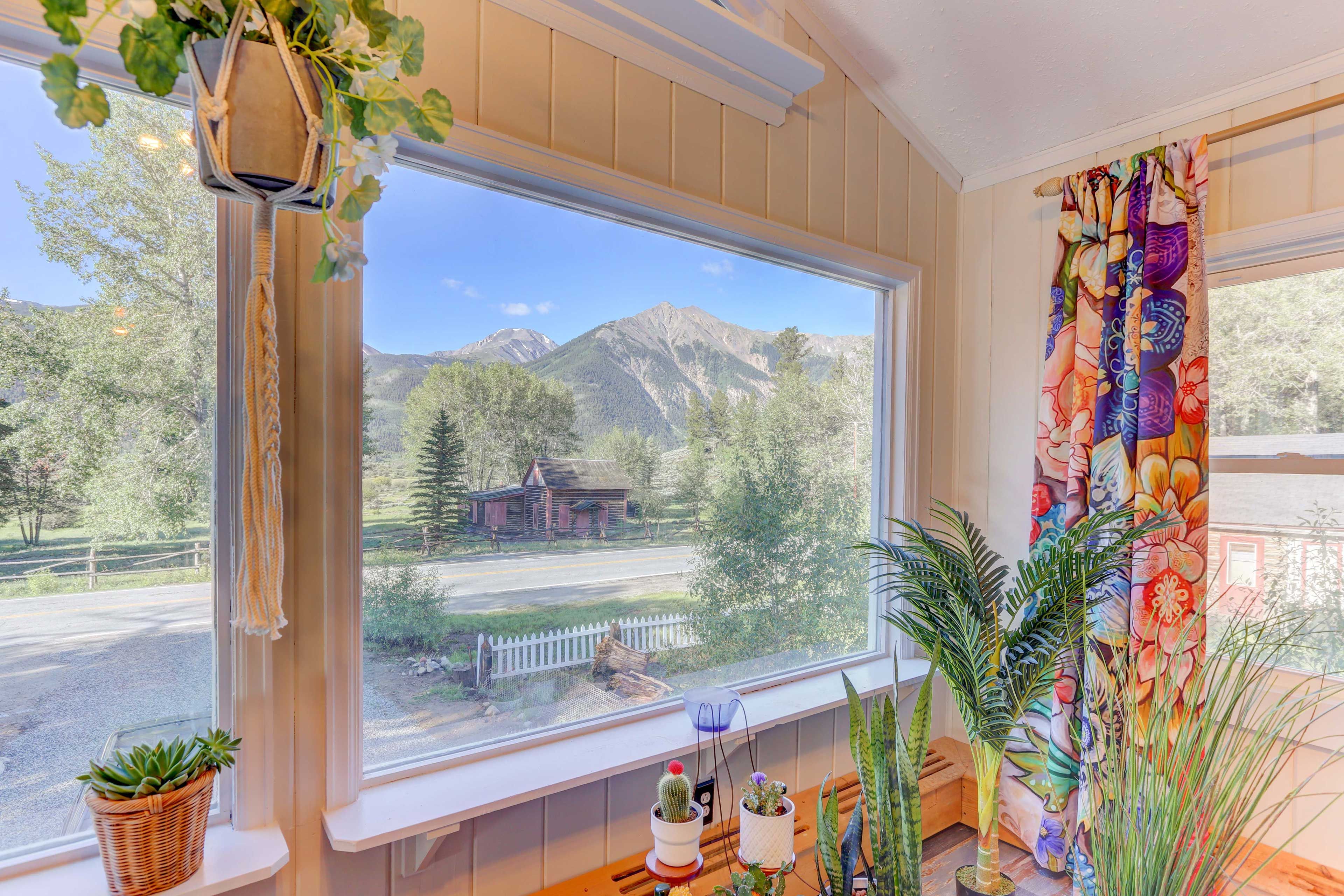 Mountain Views