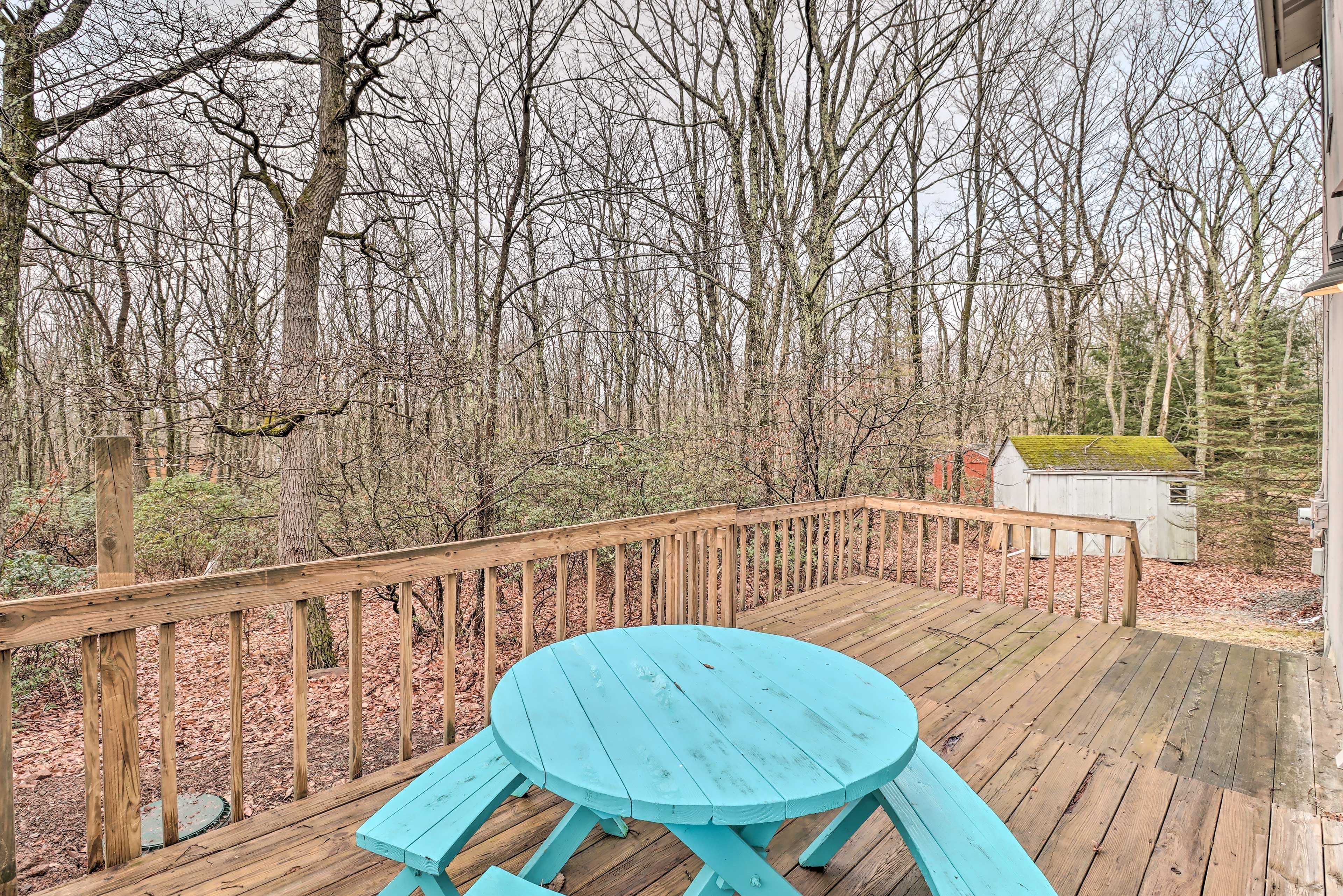 Back Deck