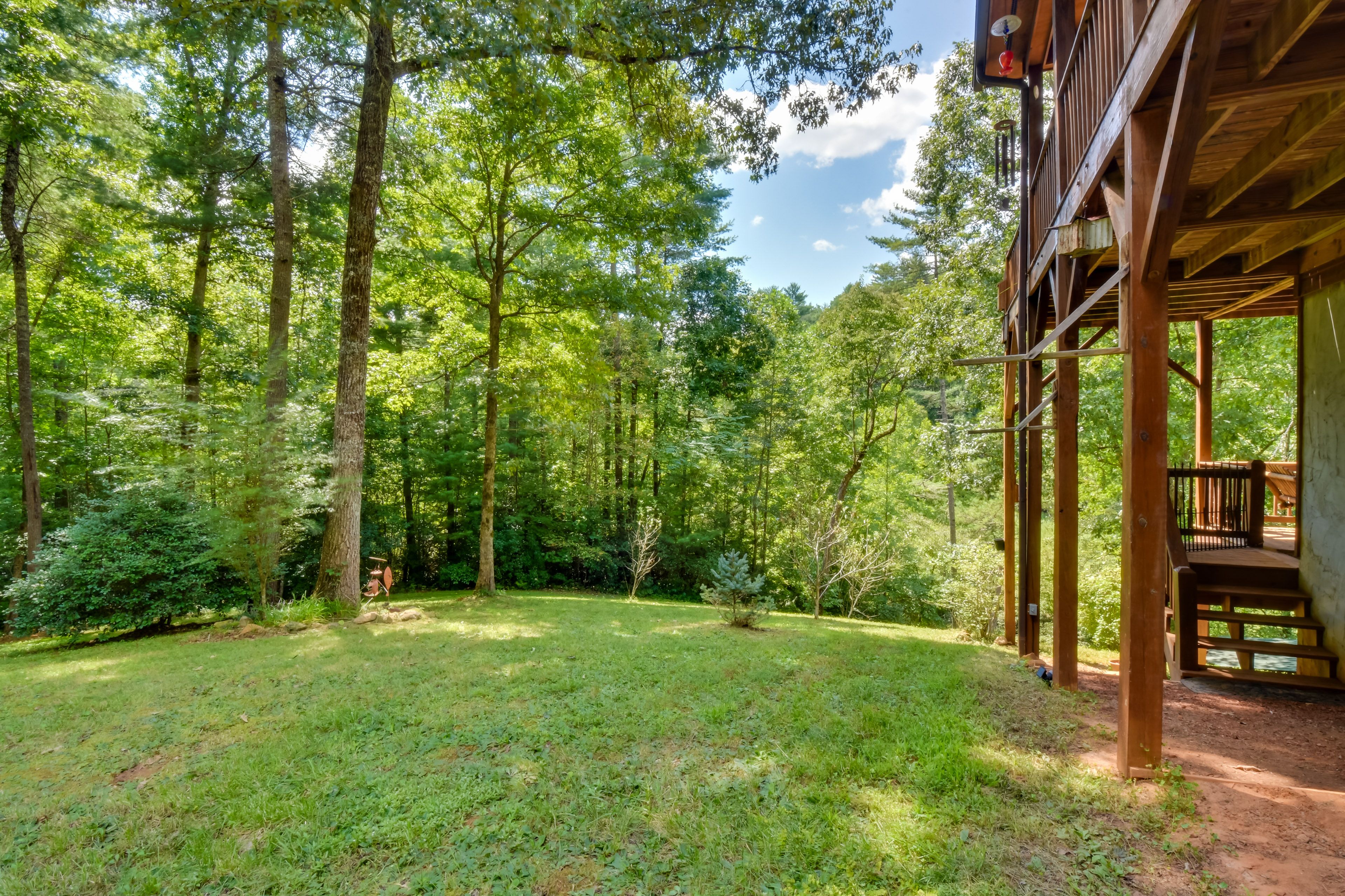 Backyard