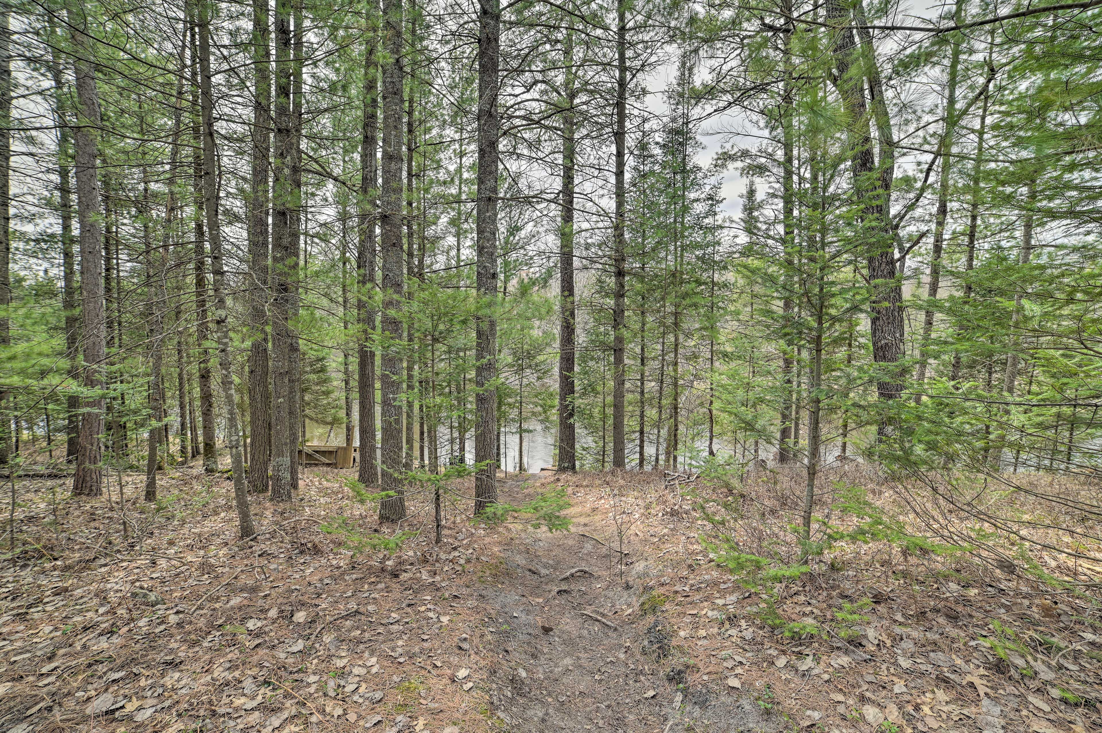 Trail to River Access