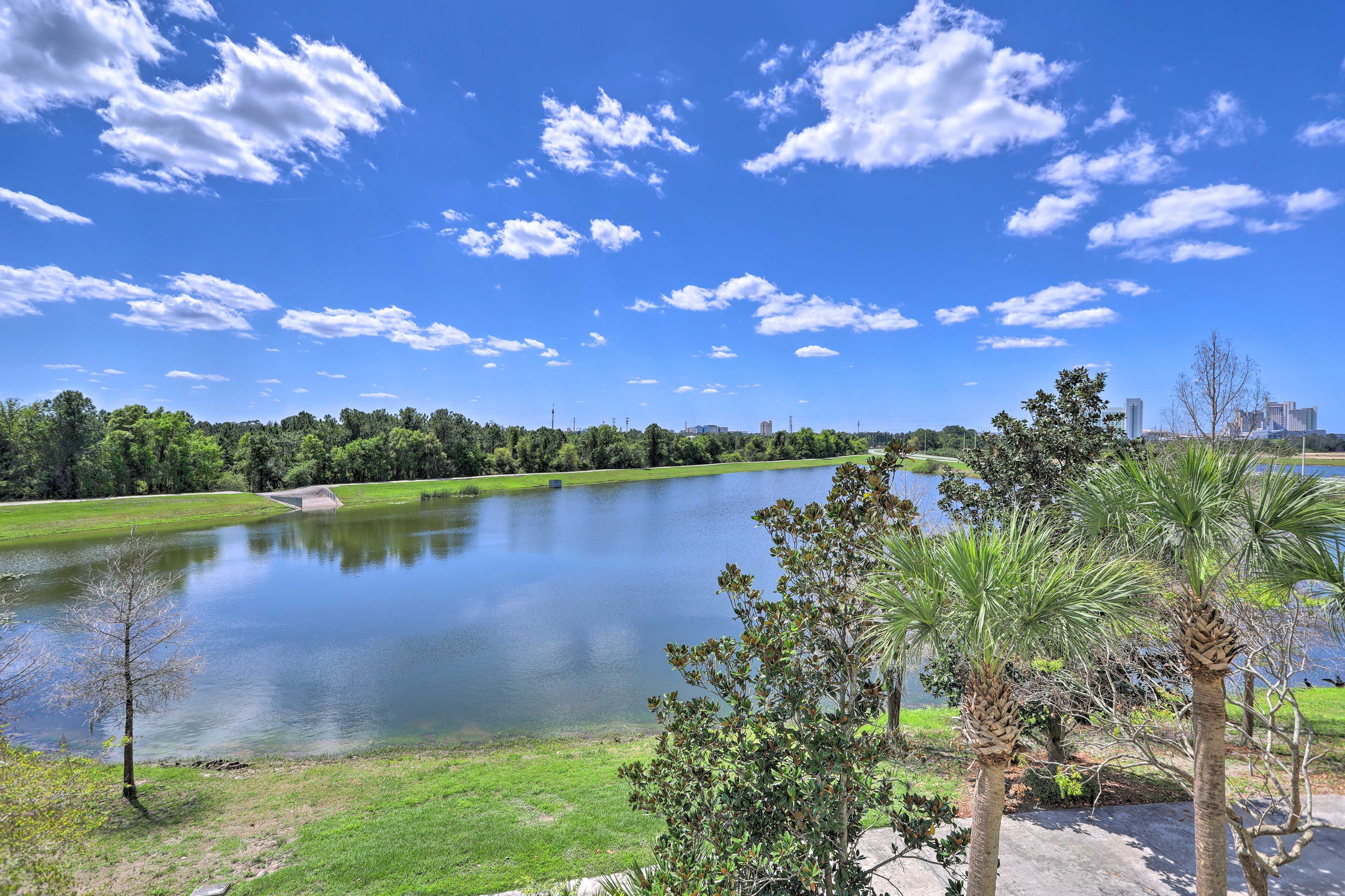 Lake Views