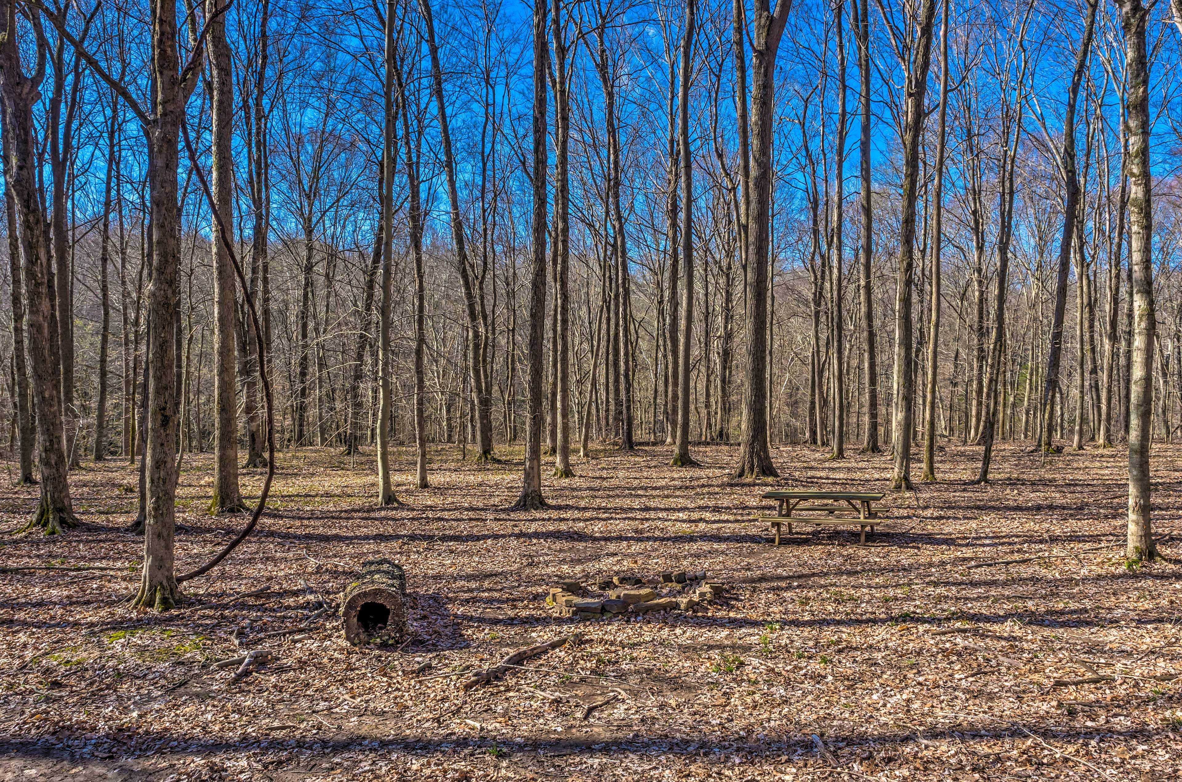 Property Surroundings