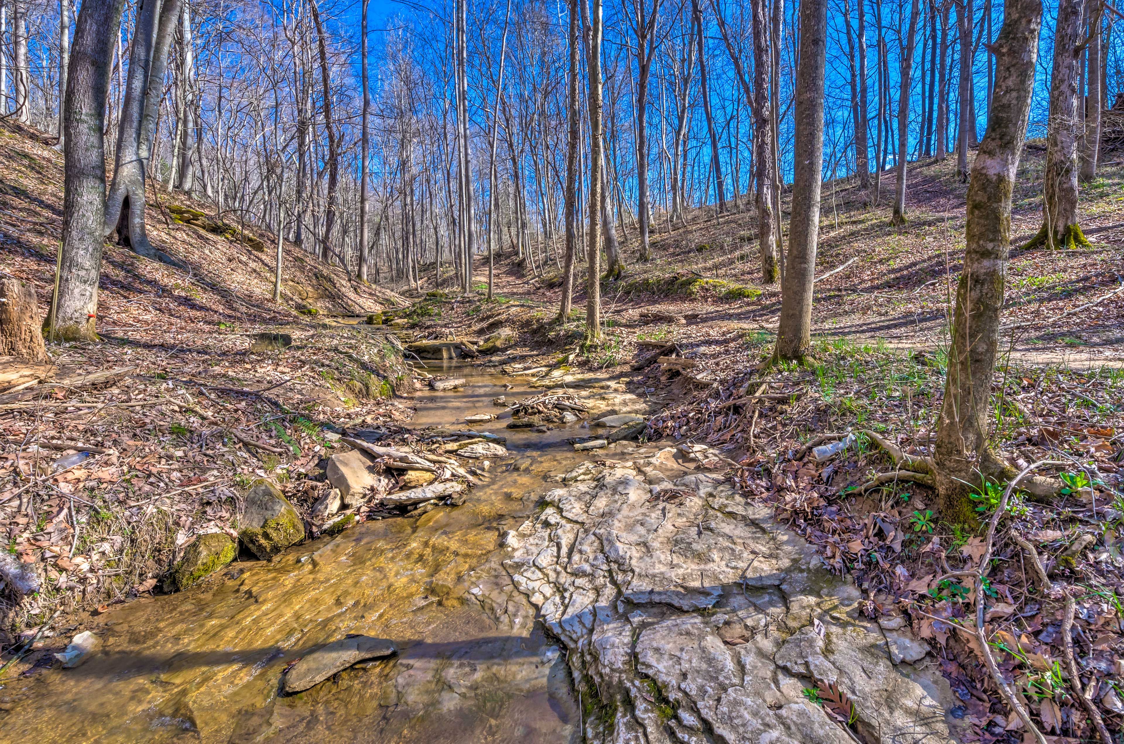Property Surroundings