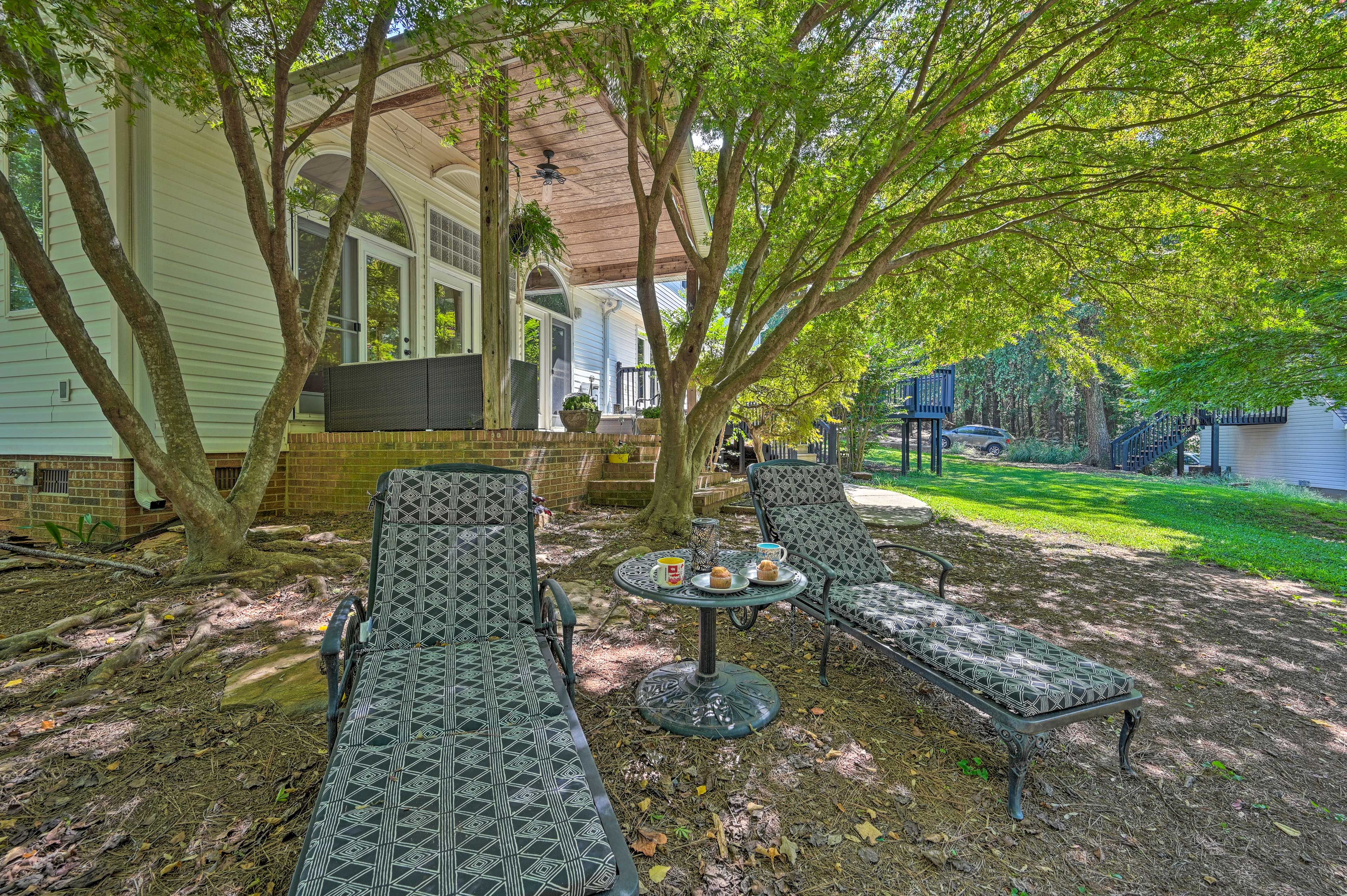 Backyard
