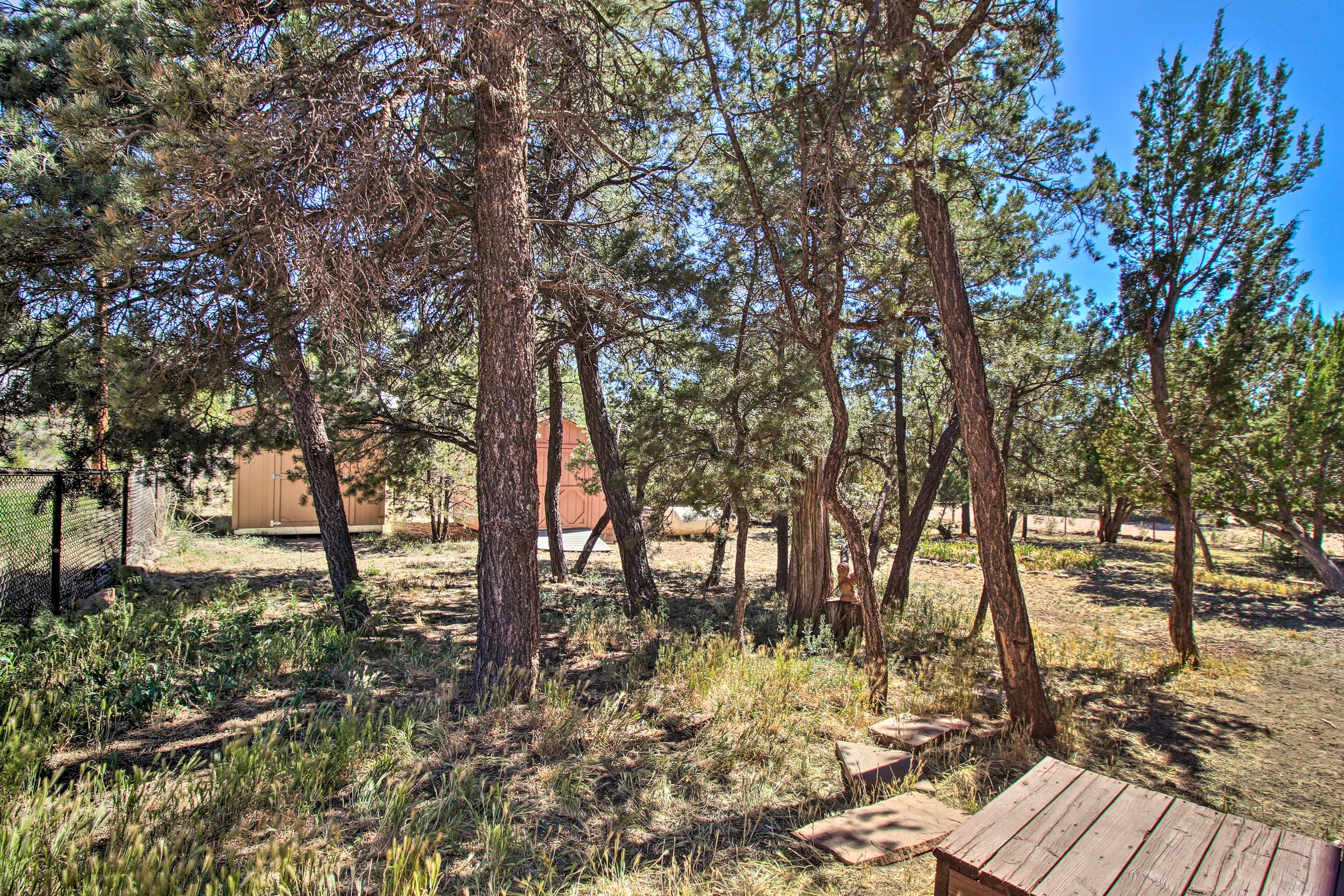 Cabin Surroundings