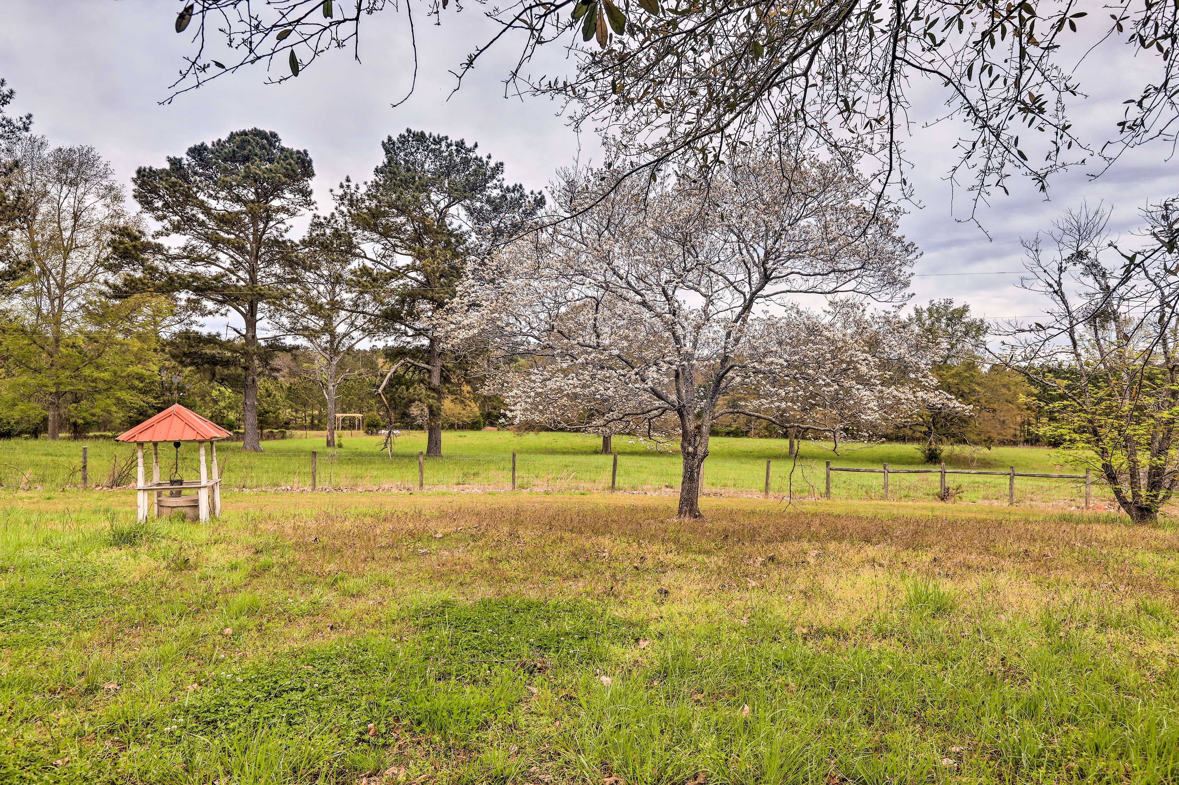 Surrounding Area | 80-Acre Ranch