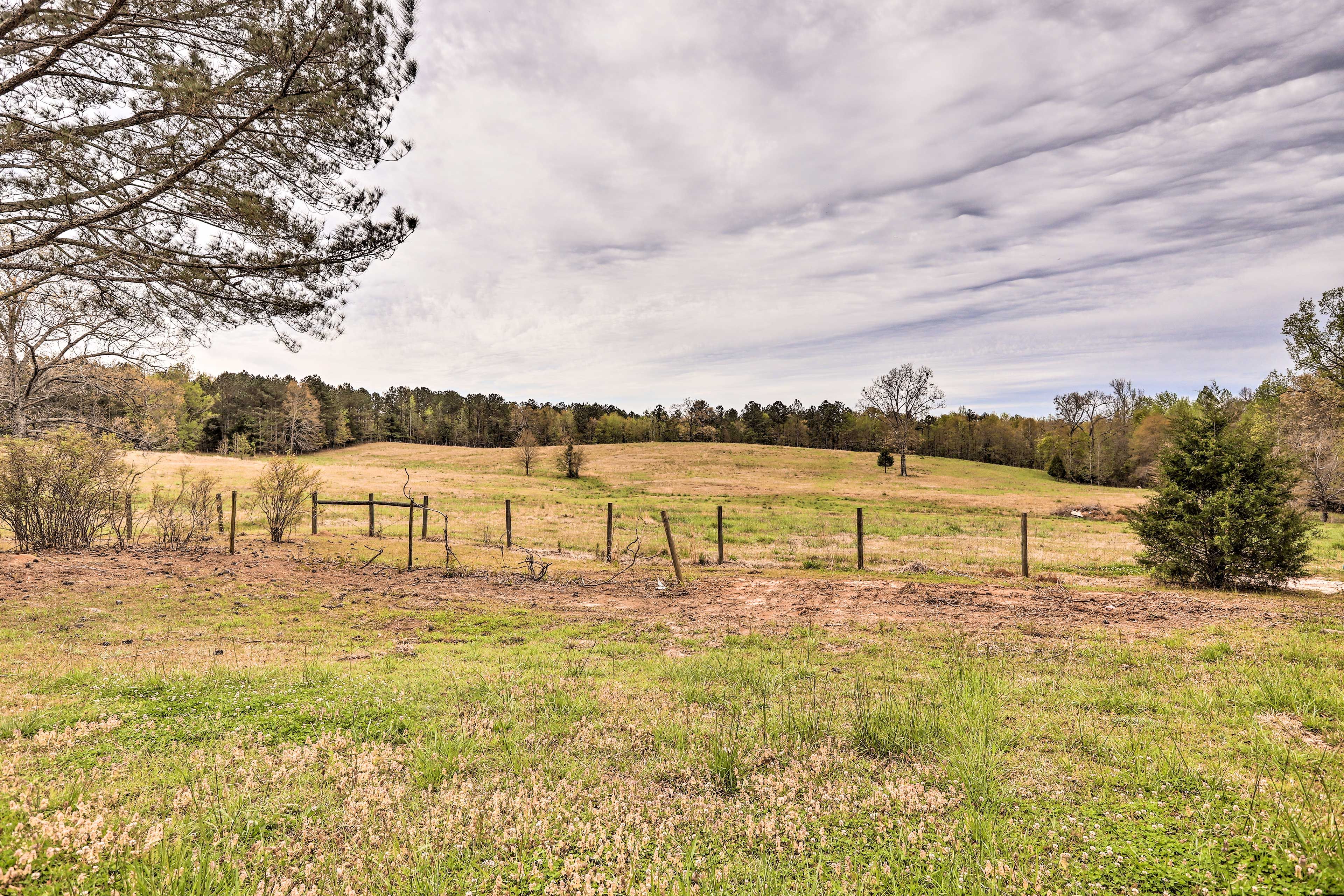 Surrounding Area | 80-Acre Ranch