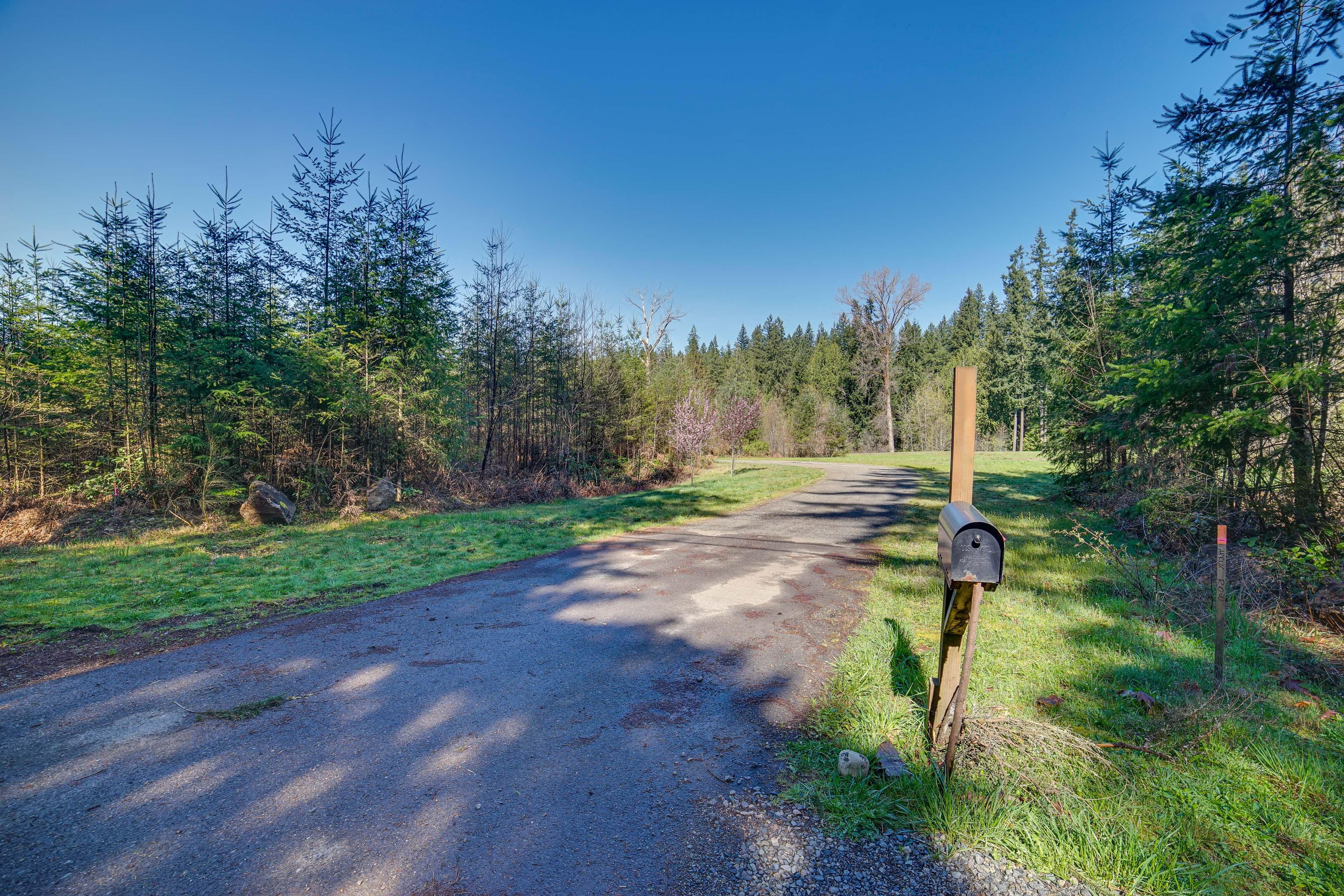 Driveway