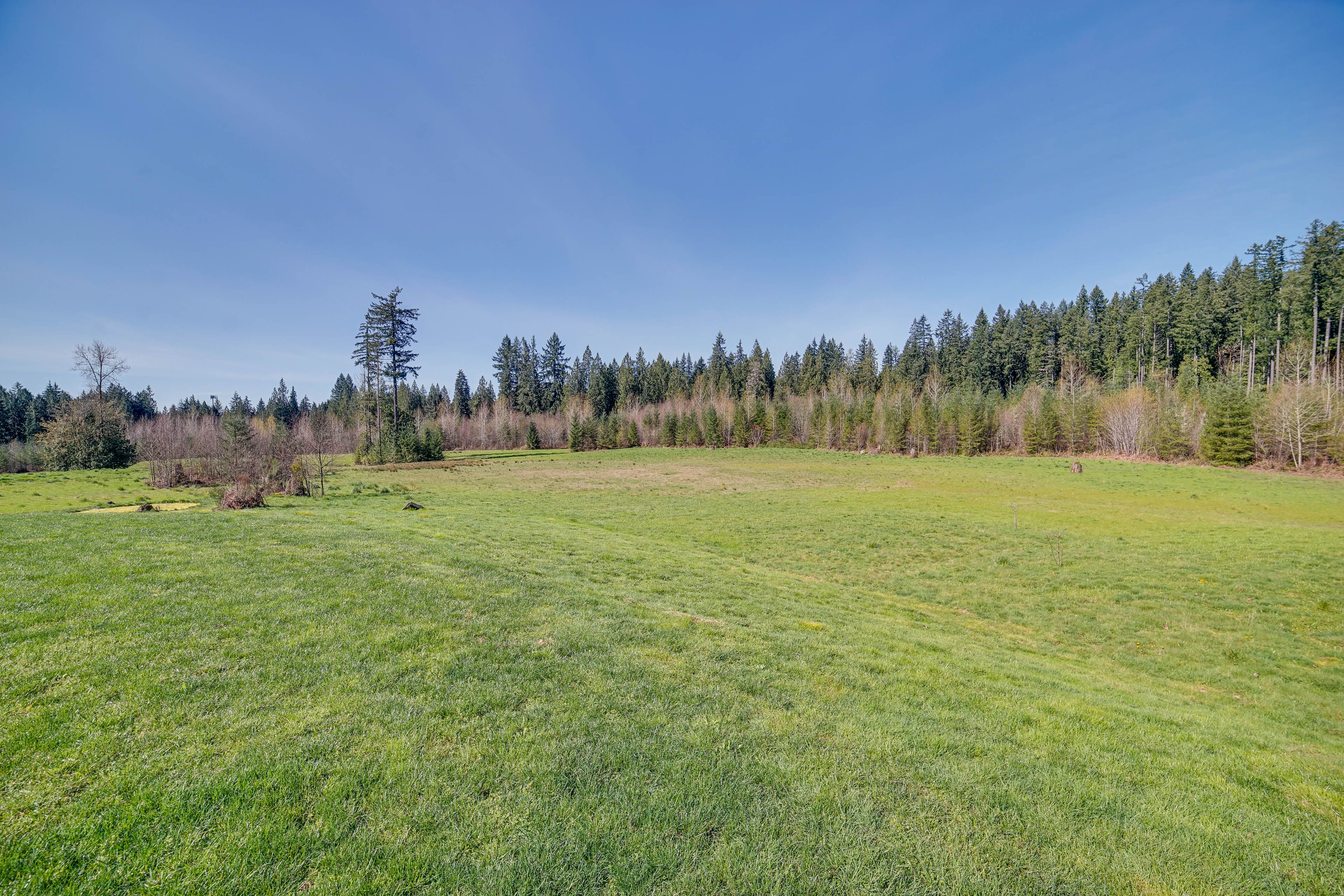 Yard Area