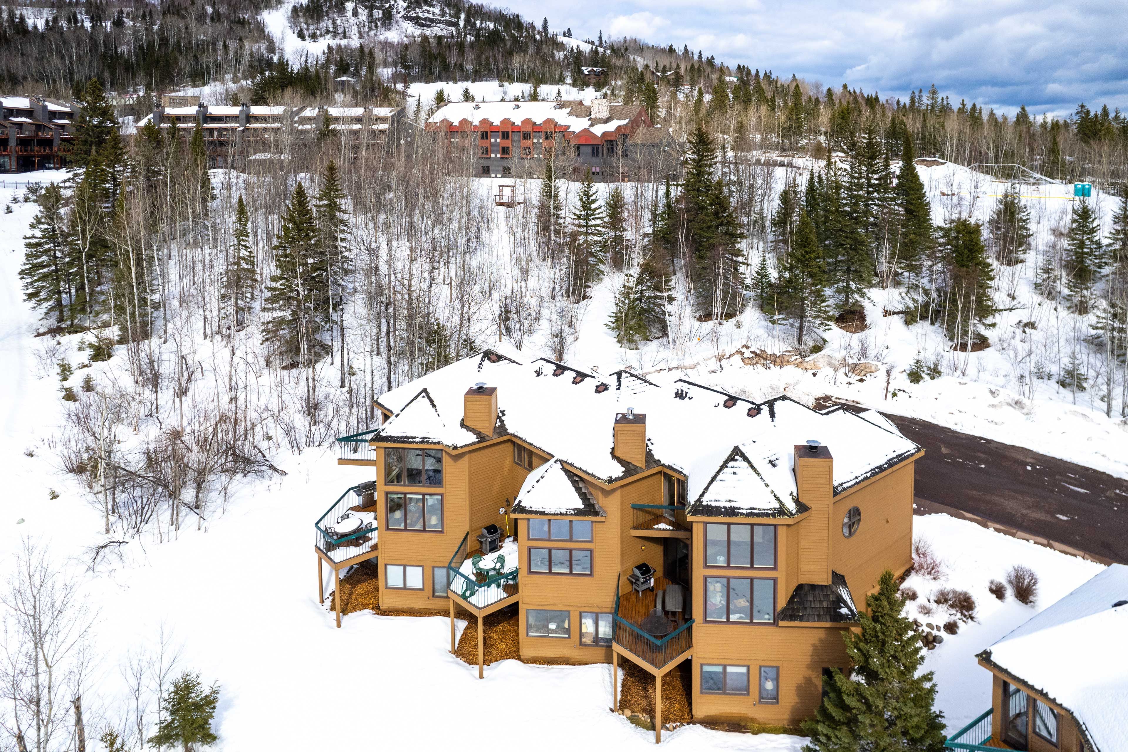 Townhome Aerial View
