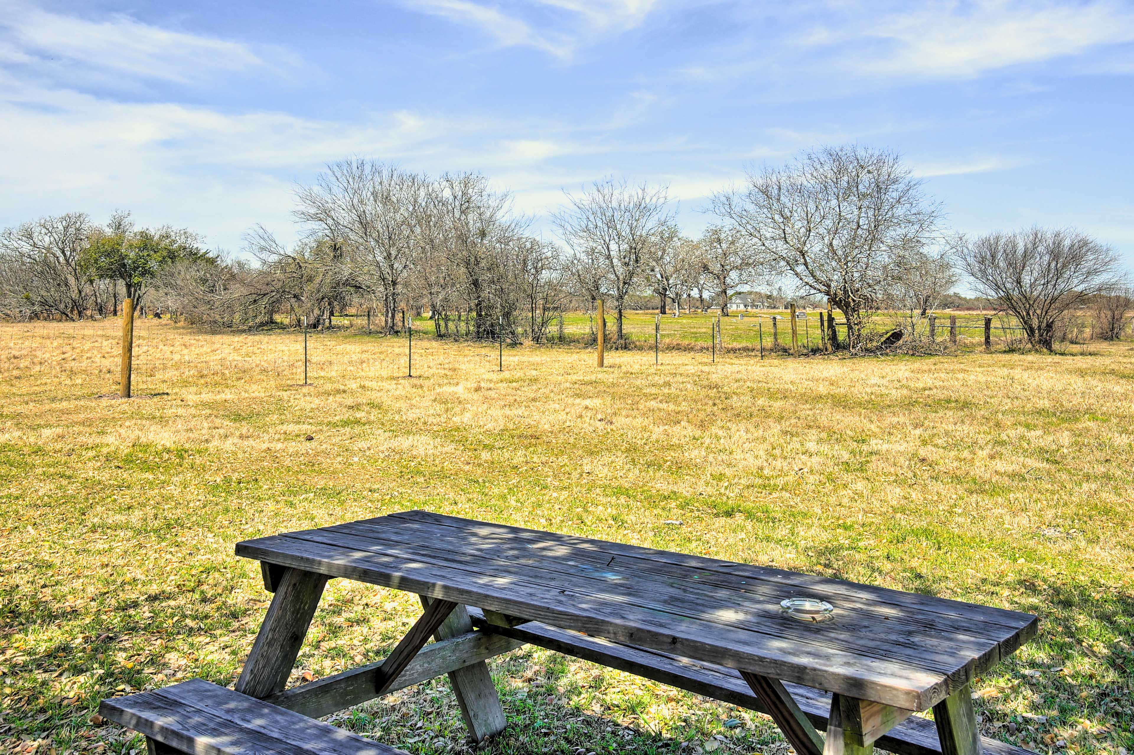 Picnic Area