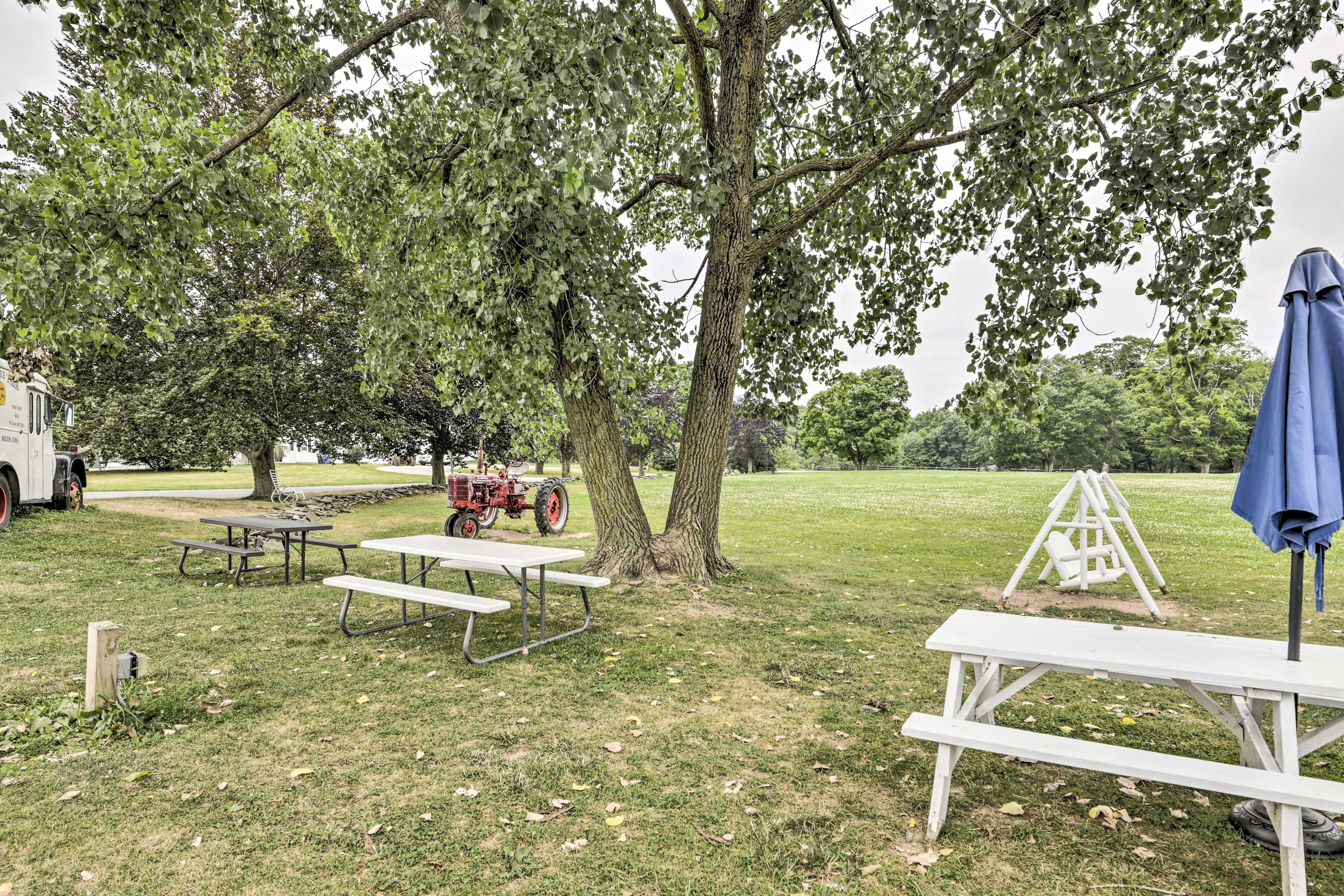 Farm Grounds
