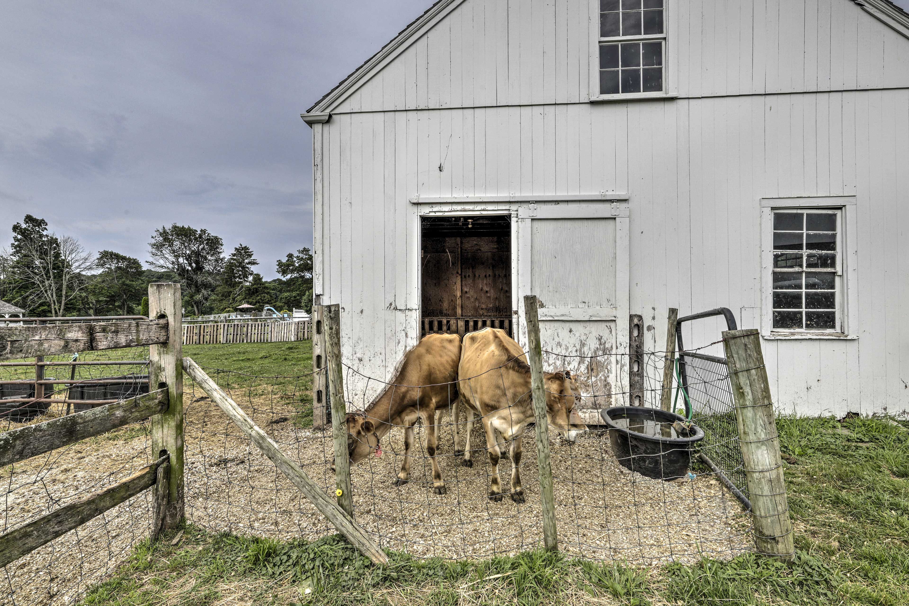 Image 39