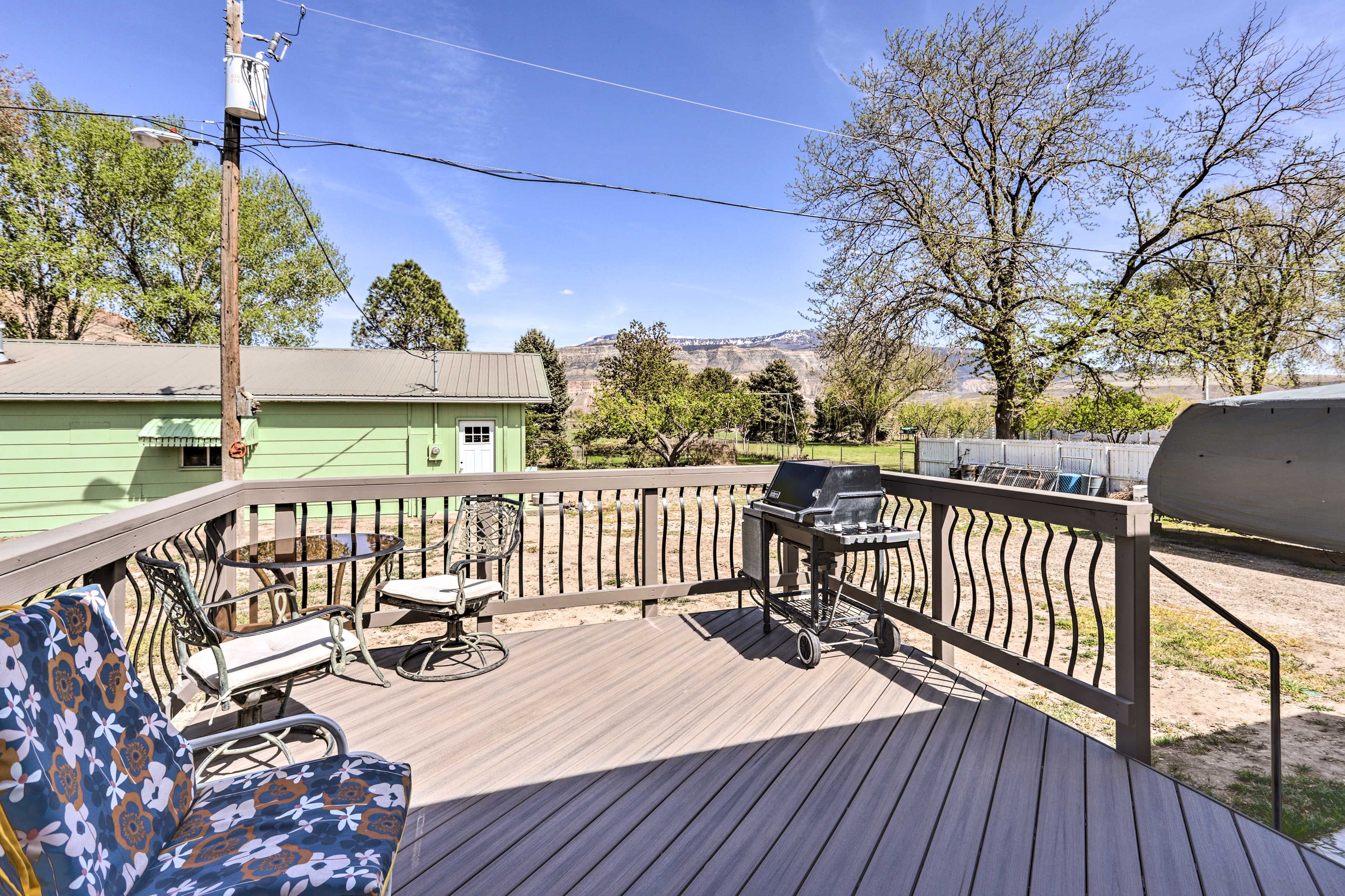 Furnished Deck | Gas Grill