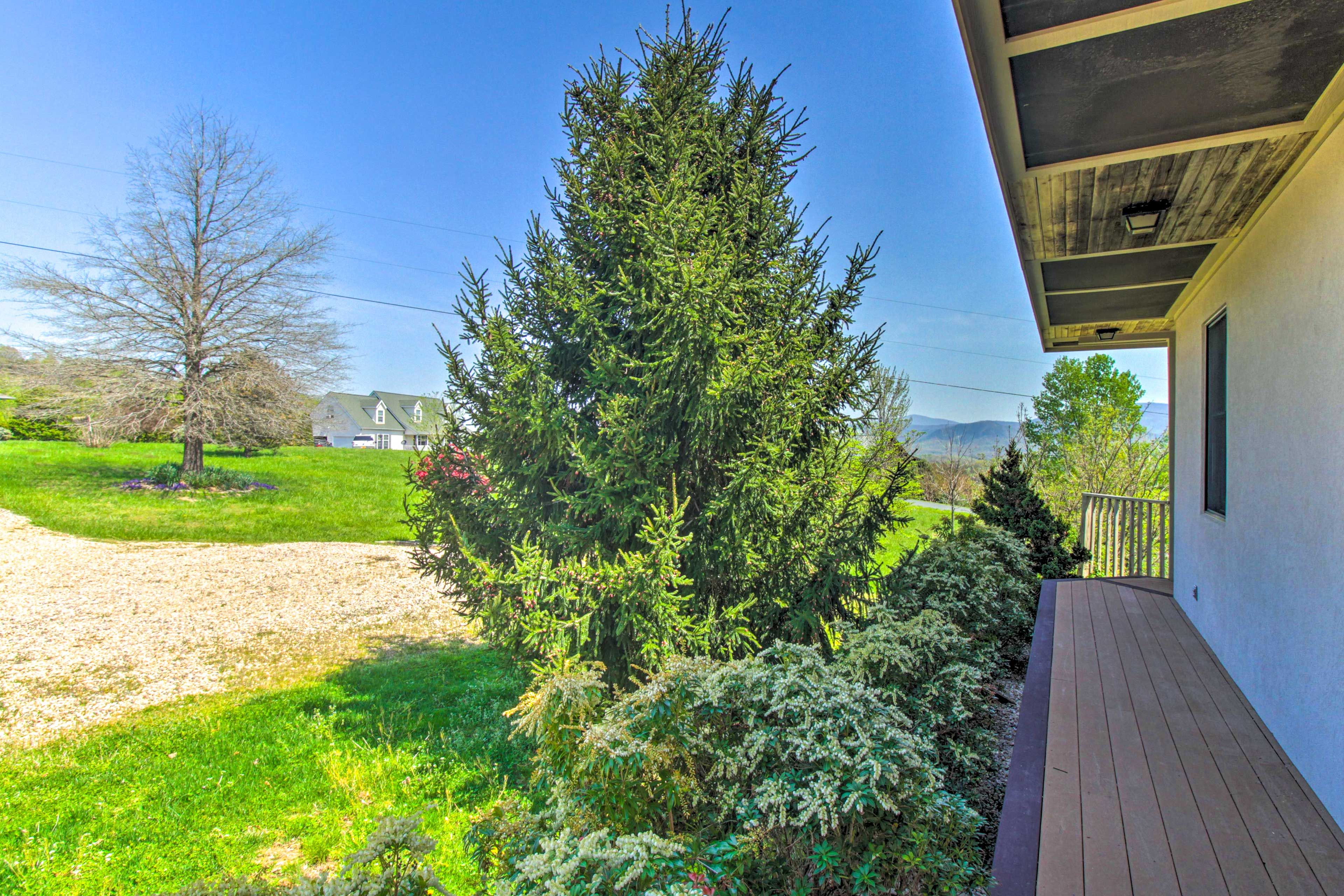 Deck