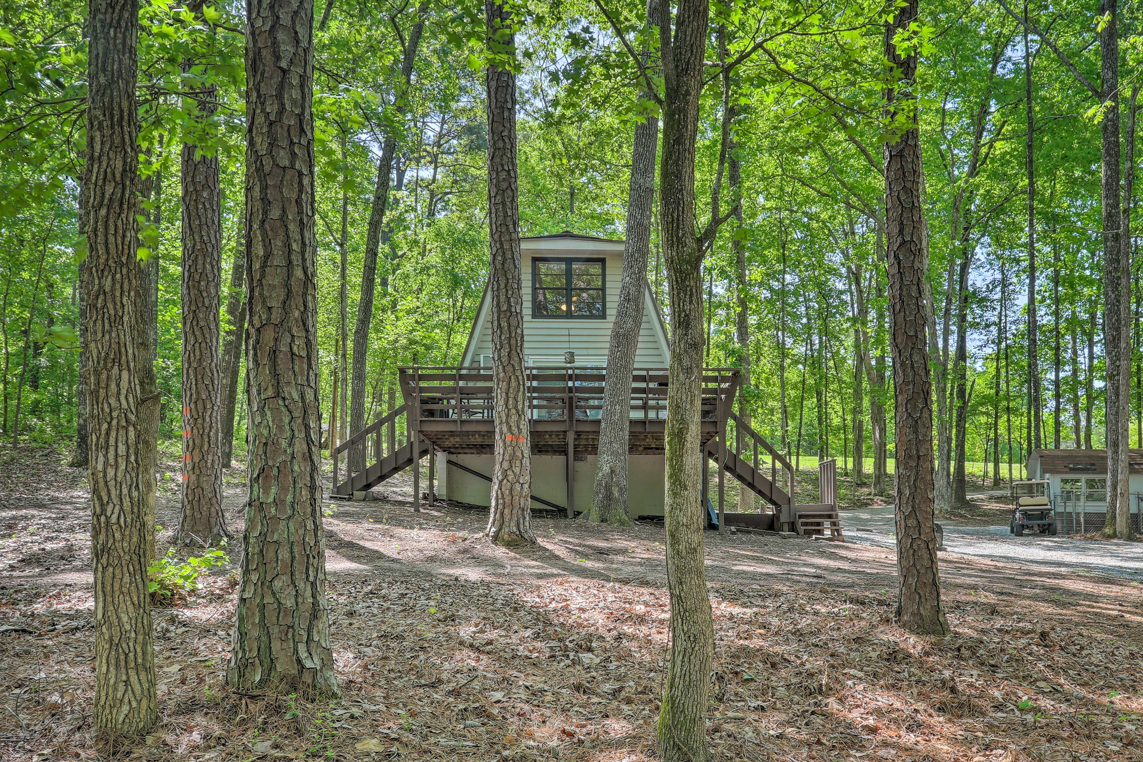 Cabin Exterior