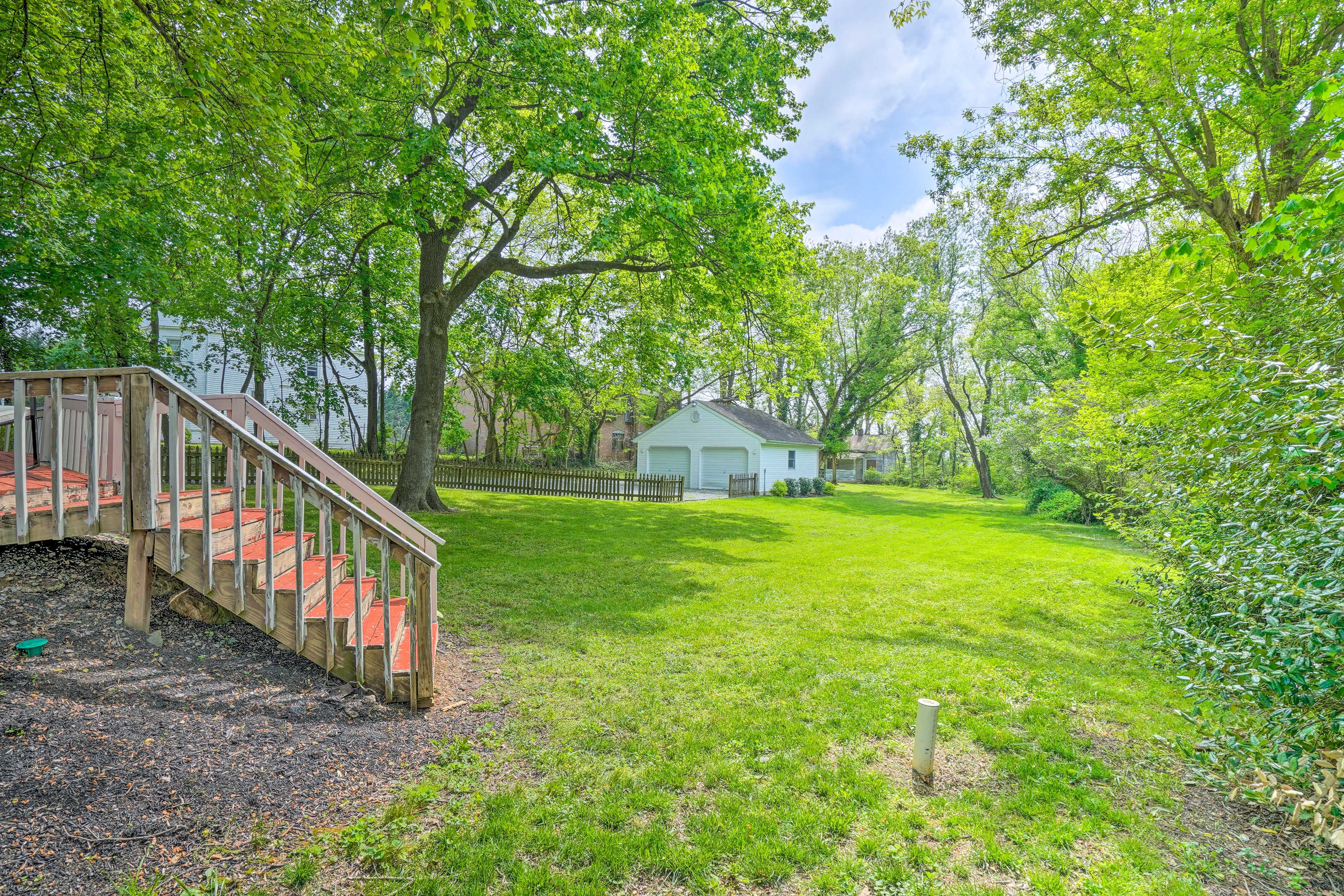 Backyard