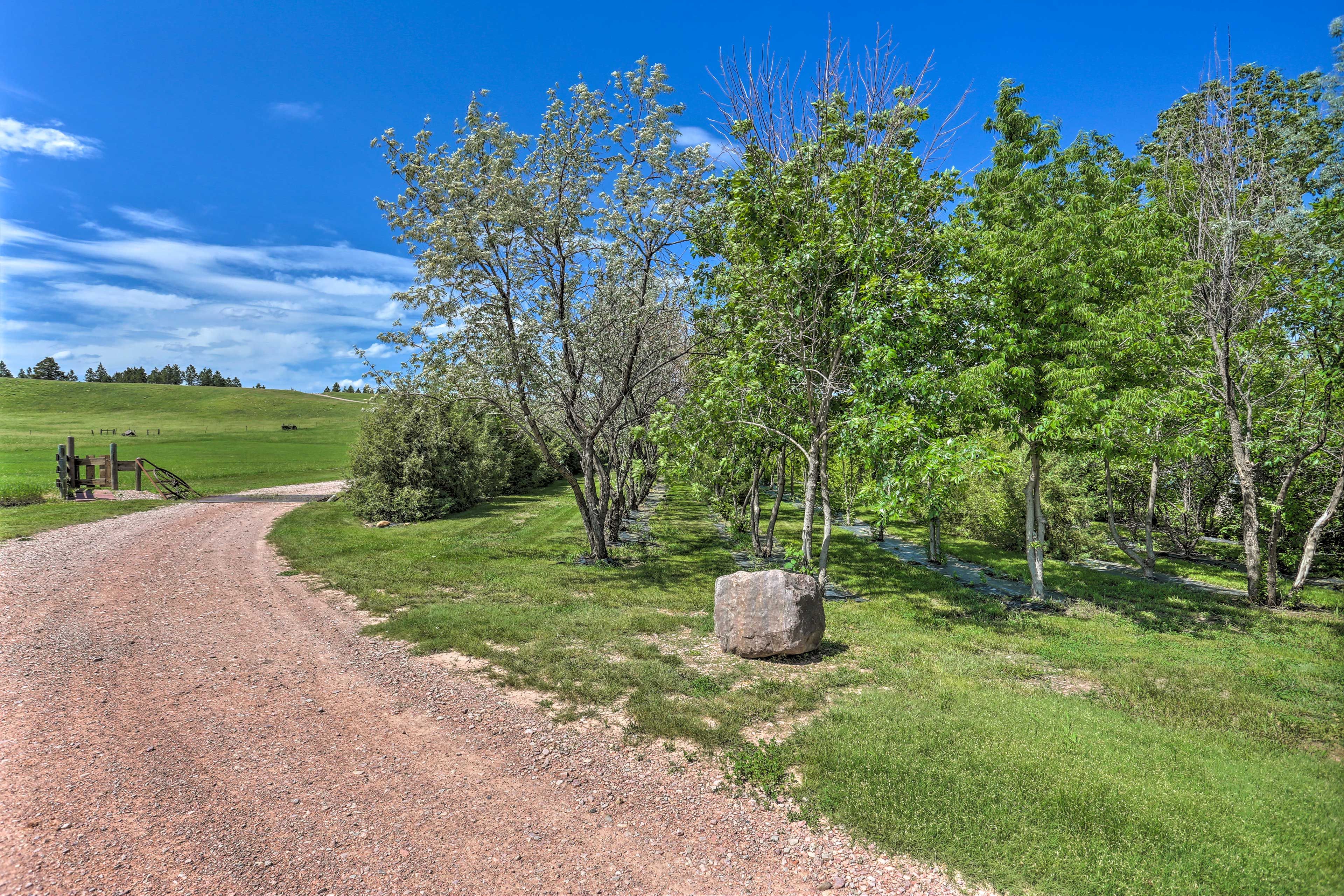 Parking | Driveway (5 Vehicles) | RV/Trailer Parking Allowed On-Site