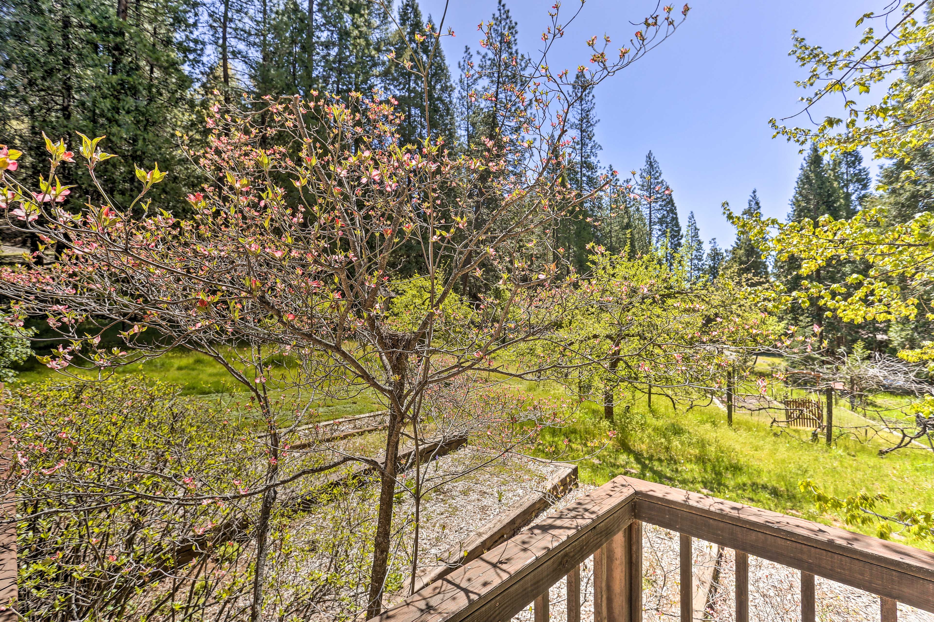 Wraparound Deck | Views