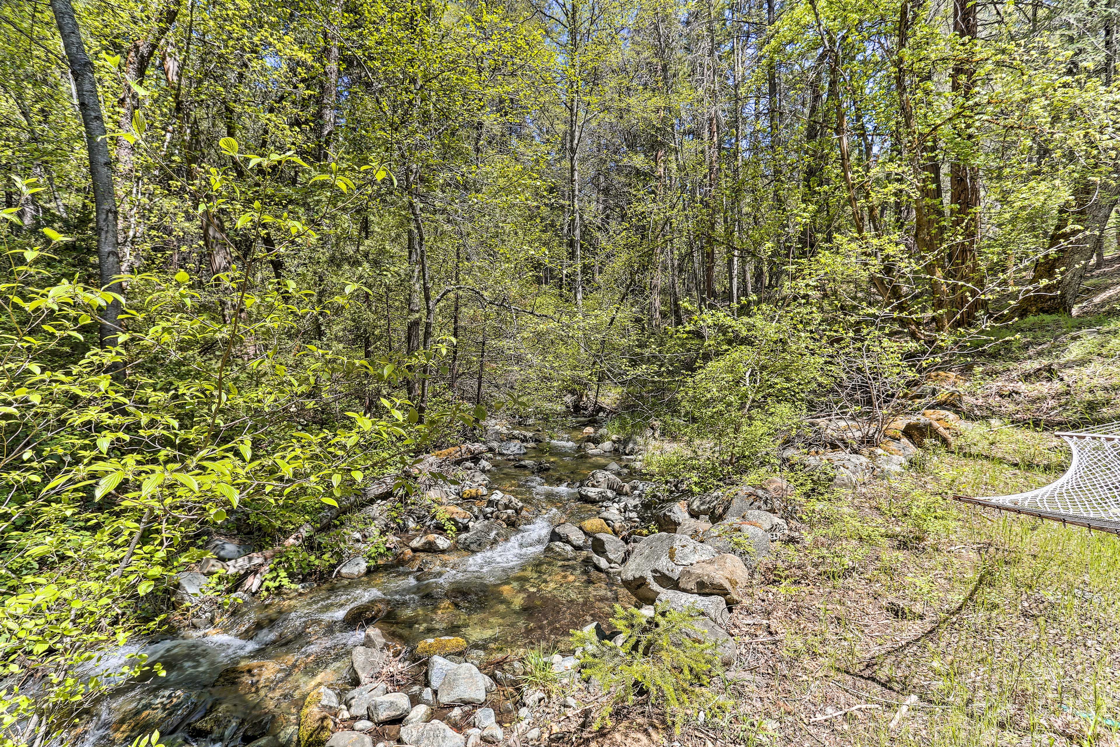 Exterior | Creek On-Site | Hammock