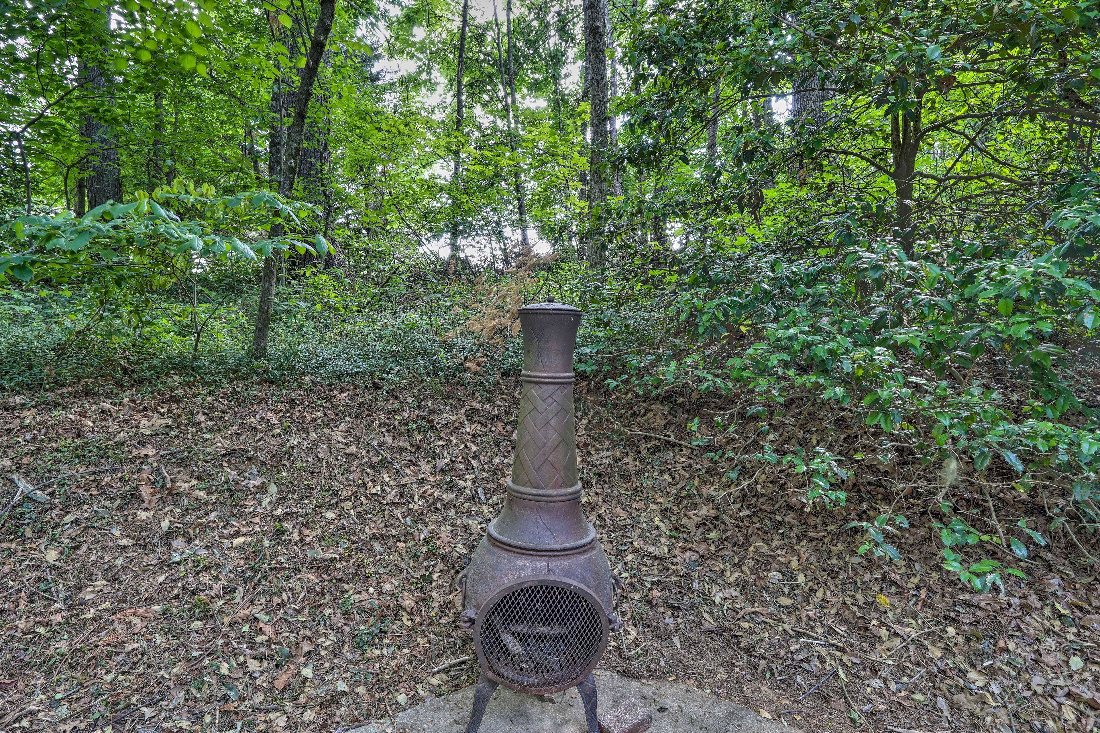Image 27