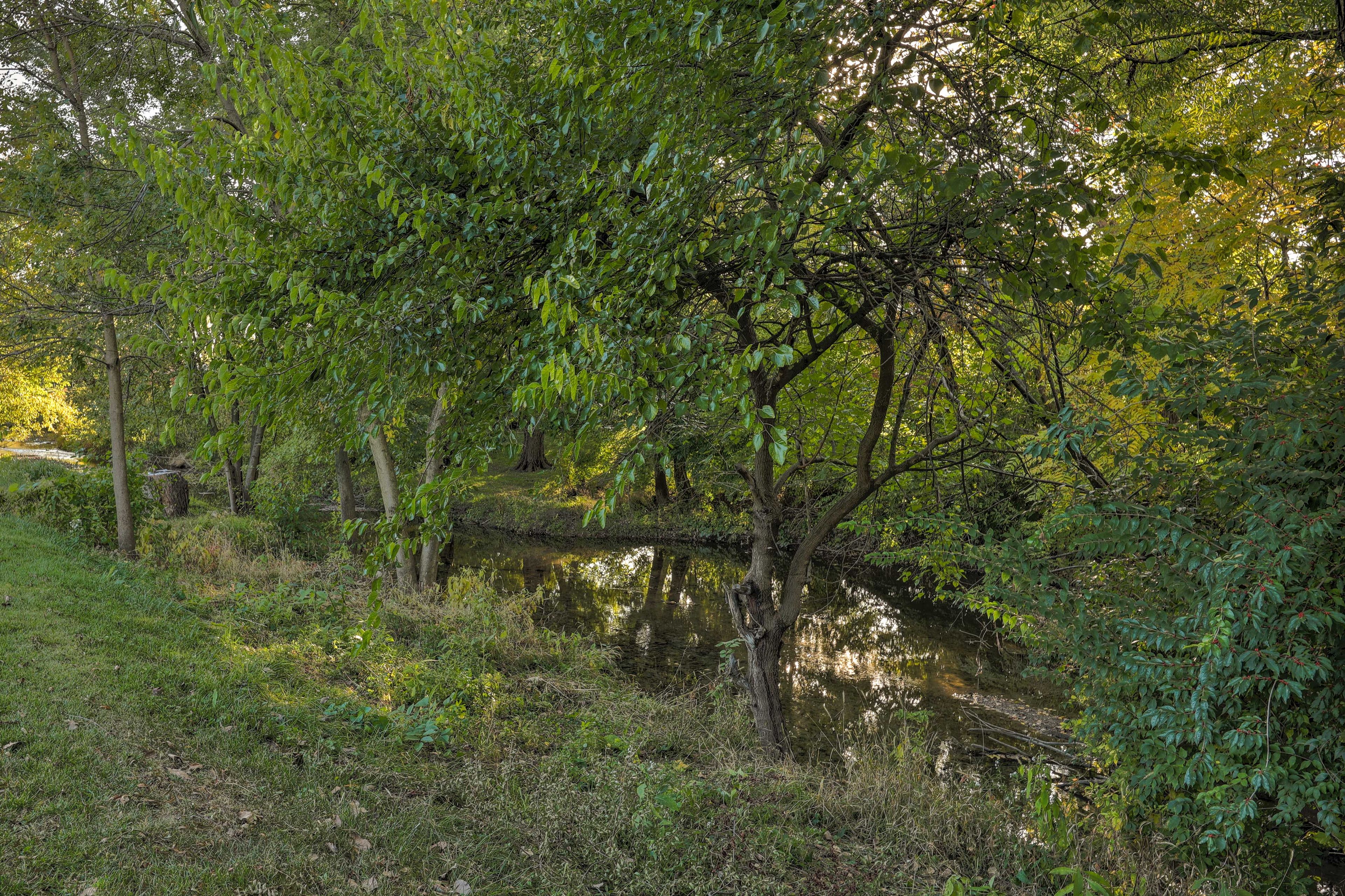 Creek Access