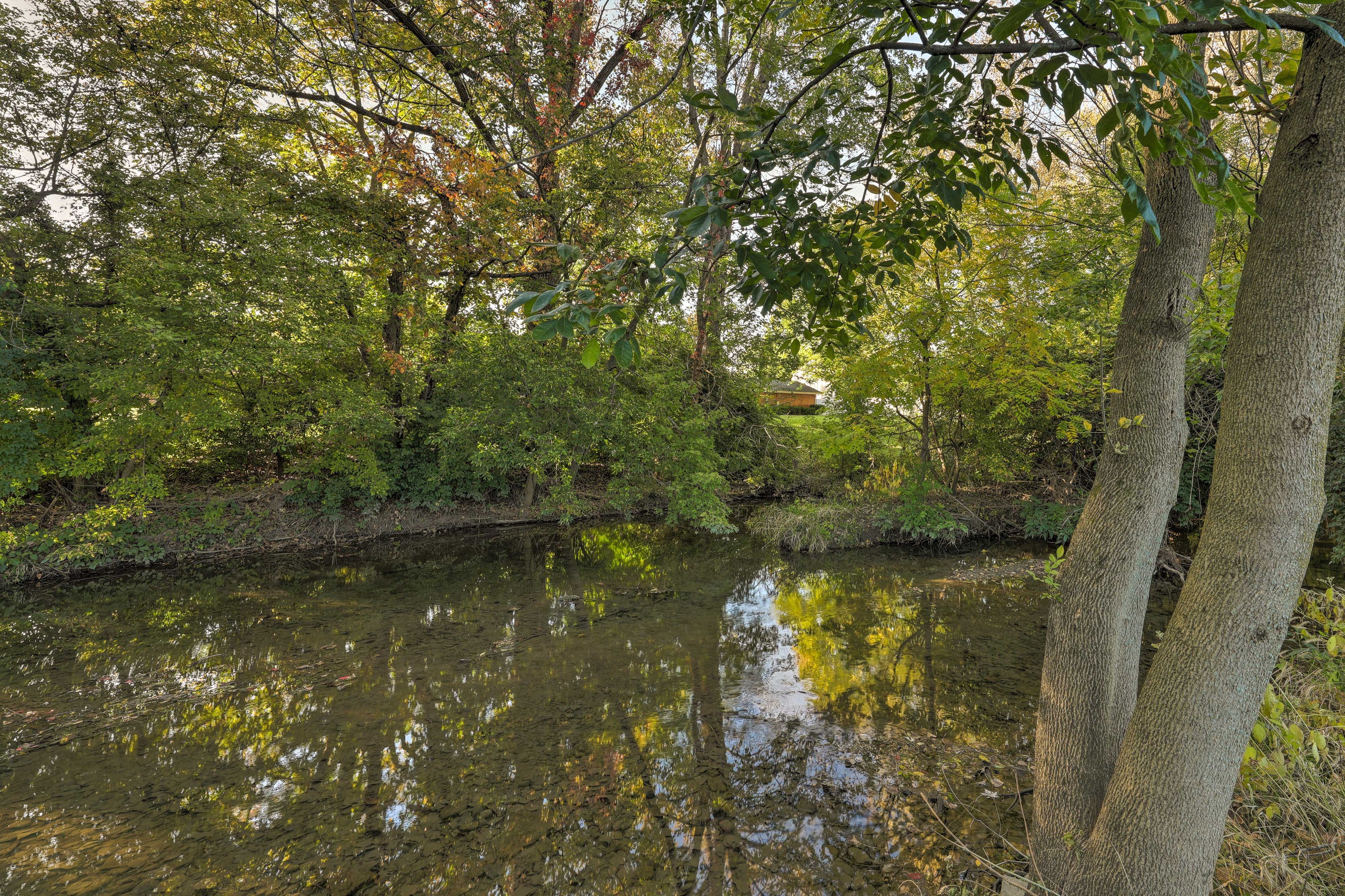 Image 37